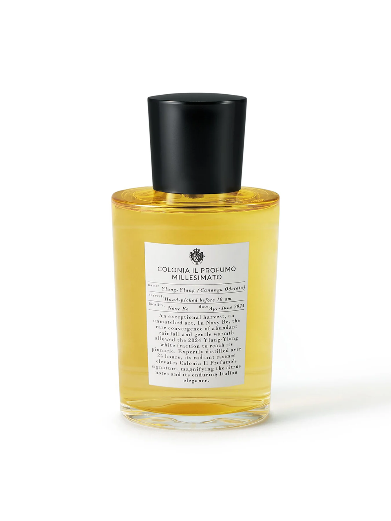 Colonia Il Profumo Millesimato Eau de Parfum 100ml - Image 3