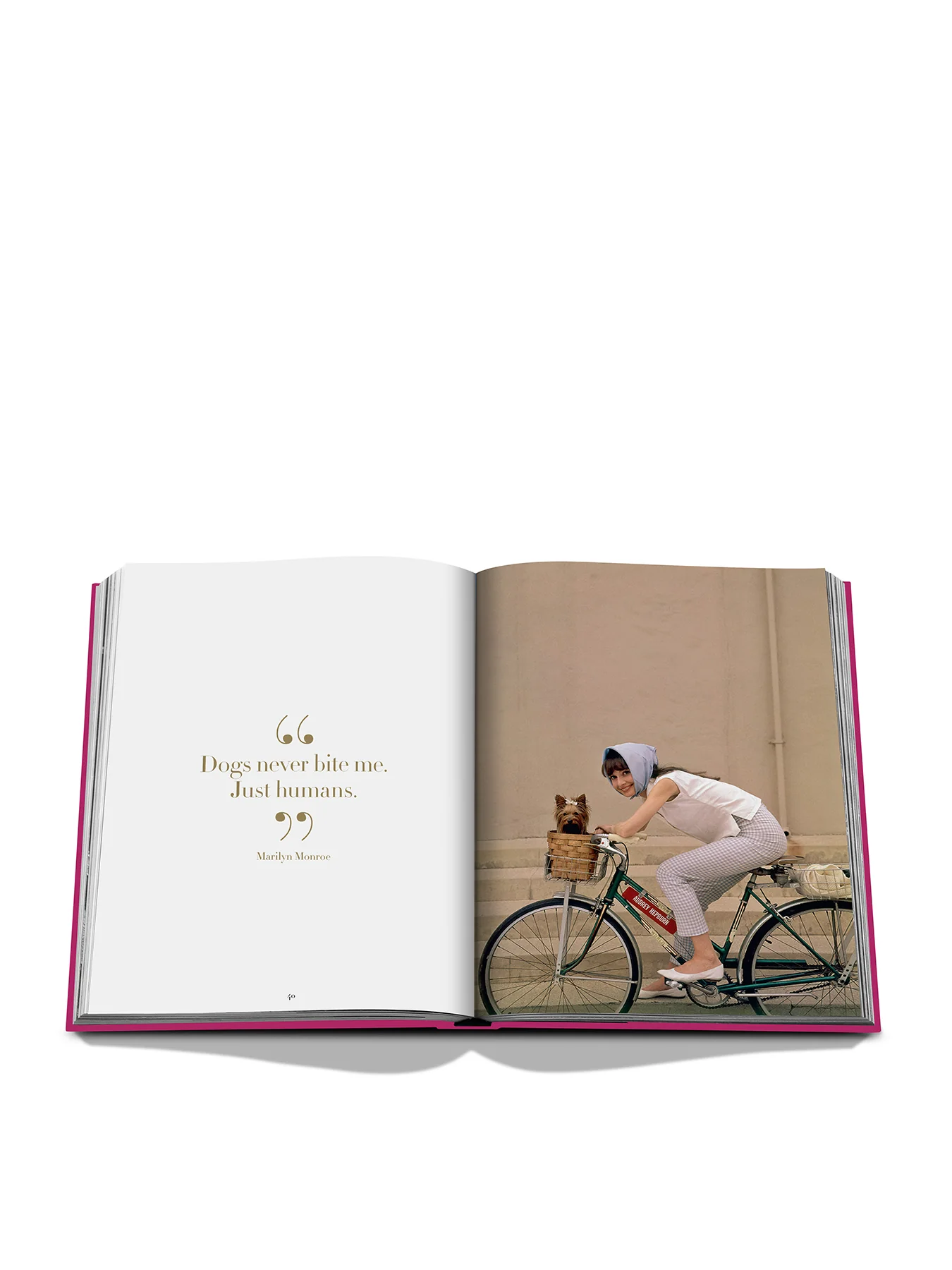 Chic Dogs Book - Image 3