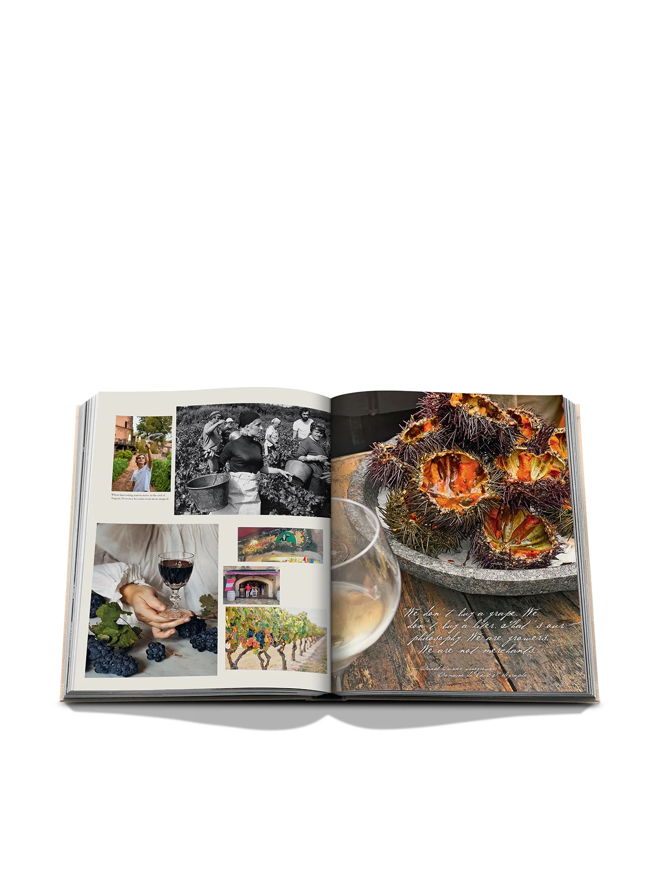 Wine & Travel France Book - Image 3