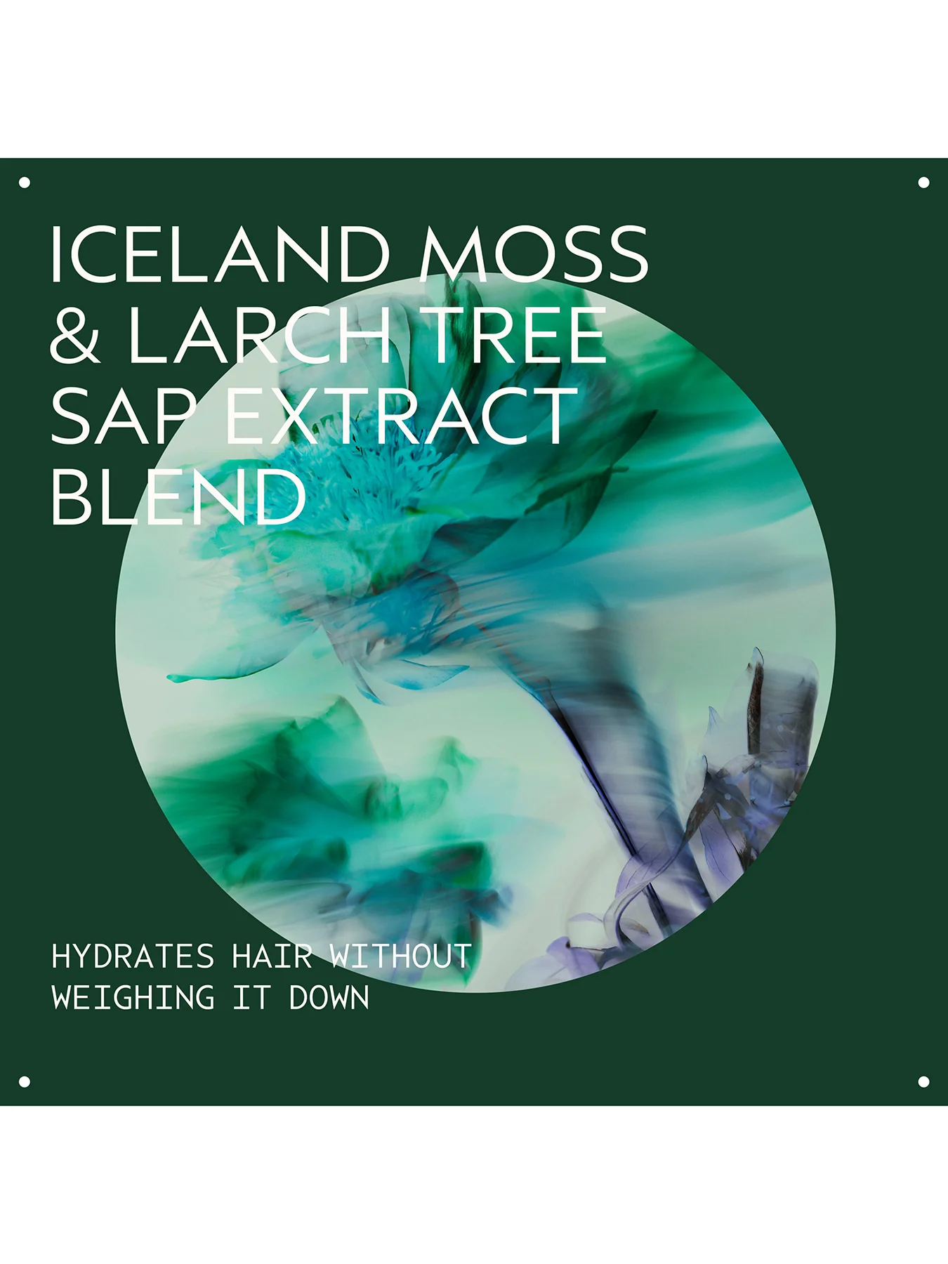 Sap Moss Shampoo 200ml - Image 5