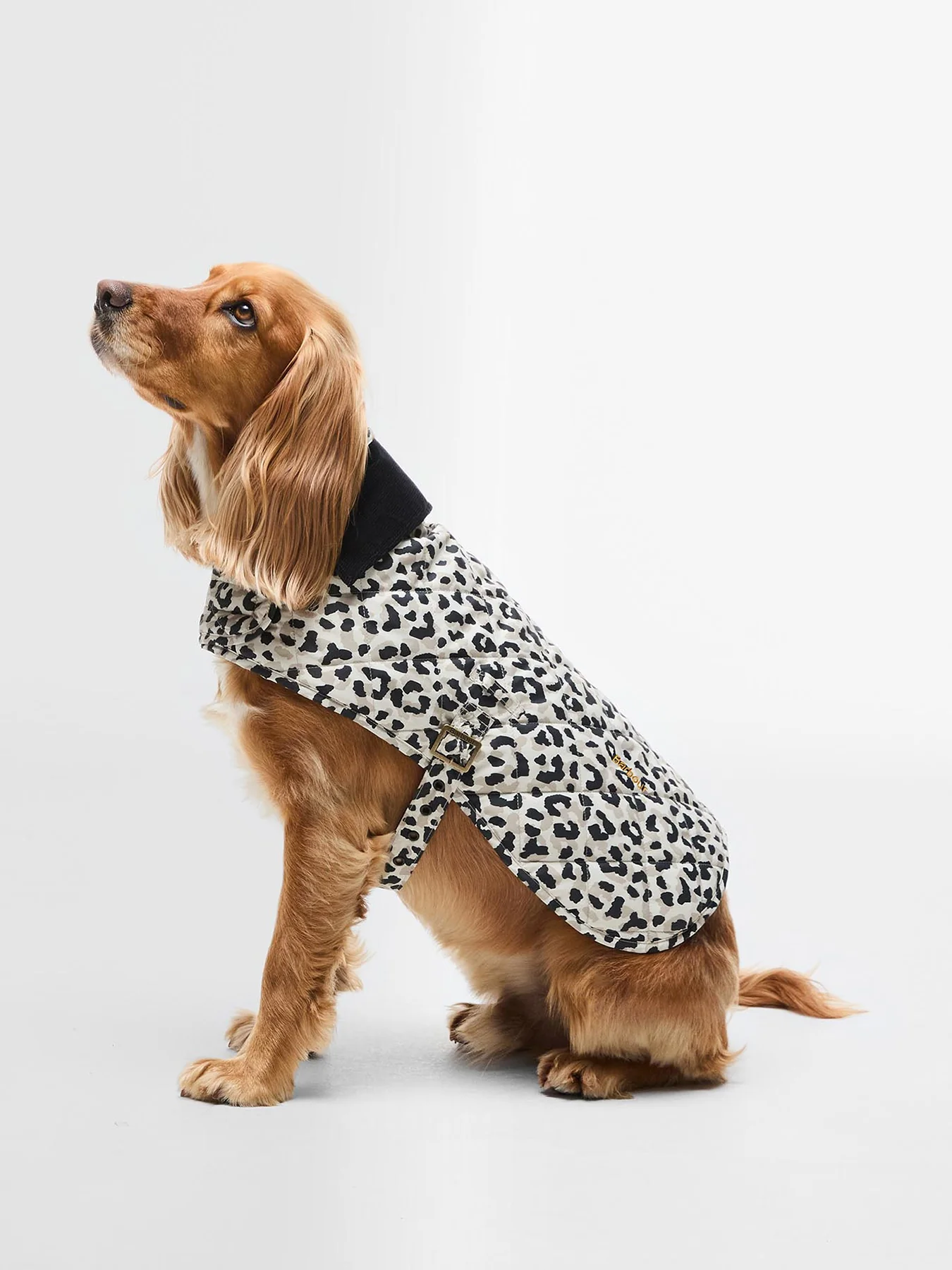 Barbour Harley Quilted Dog Coat Jasmine Leopard Large - Image 2