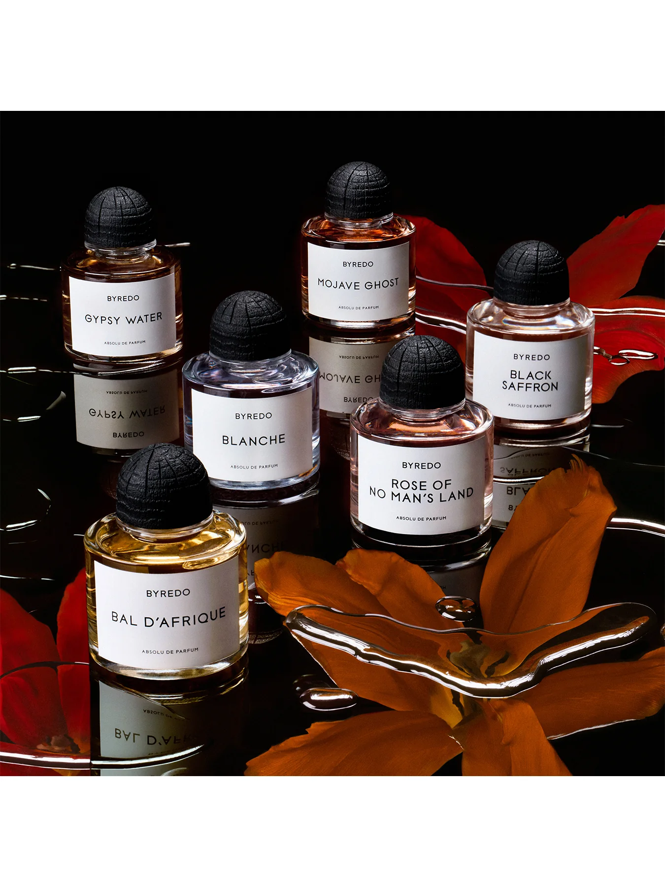 Black Saffron Absolu De Parfum 50ml - Image 4