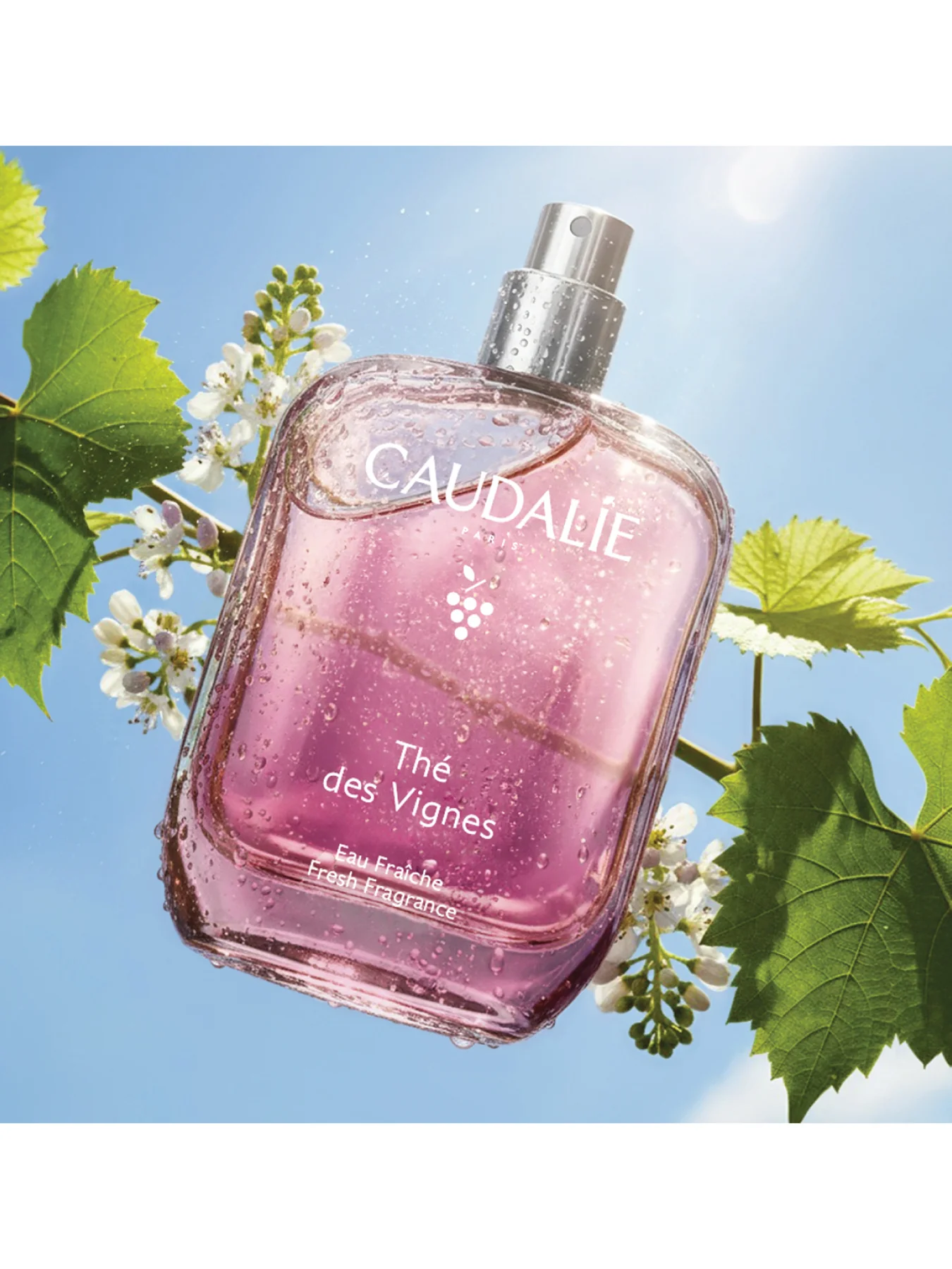 Des Vignes Fresh Fragrance 50ml - Image 4