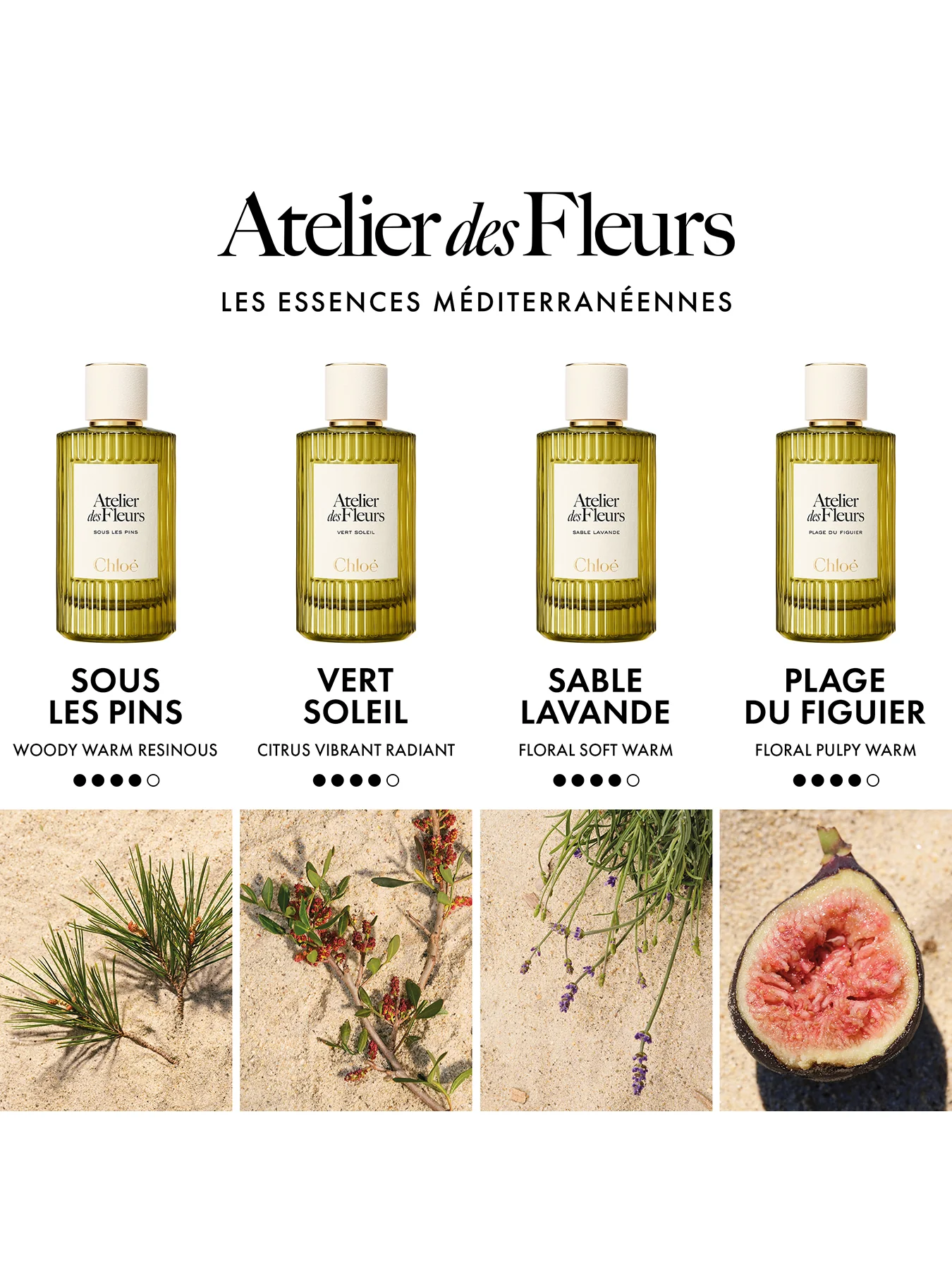 Atelier Des Fleurs Plage Du Figuier Eau de Parfum 50ml - Image 4