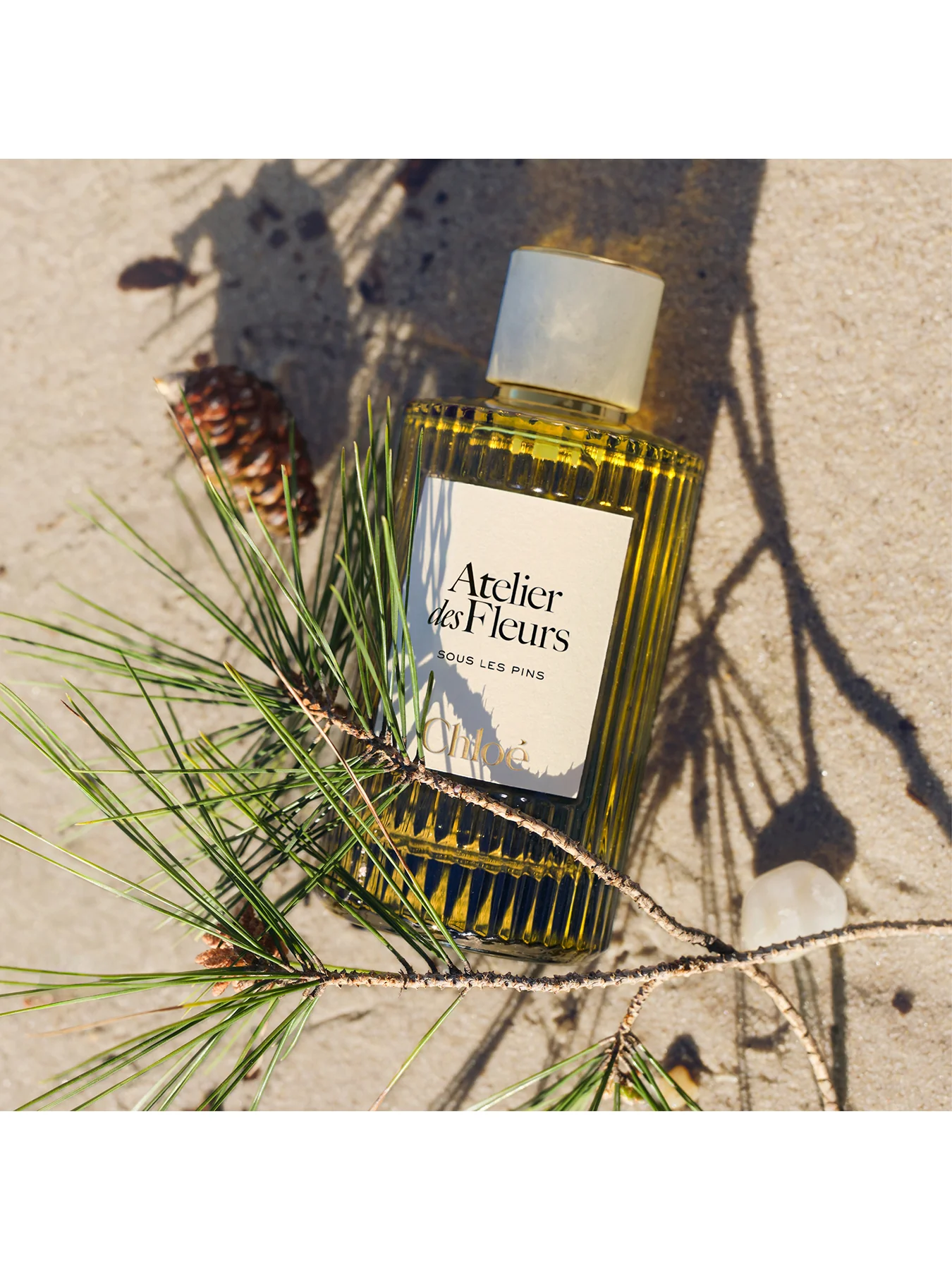 Atelier Des Fleurs Sous Les Pins Eau de Parfum 50ml - Image 2