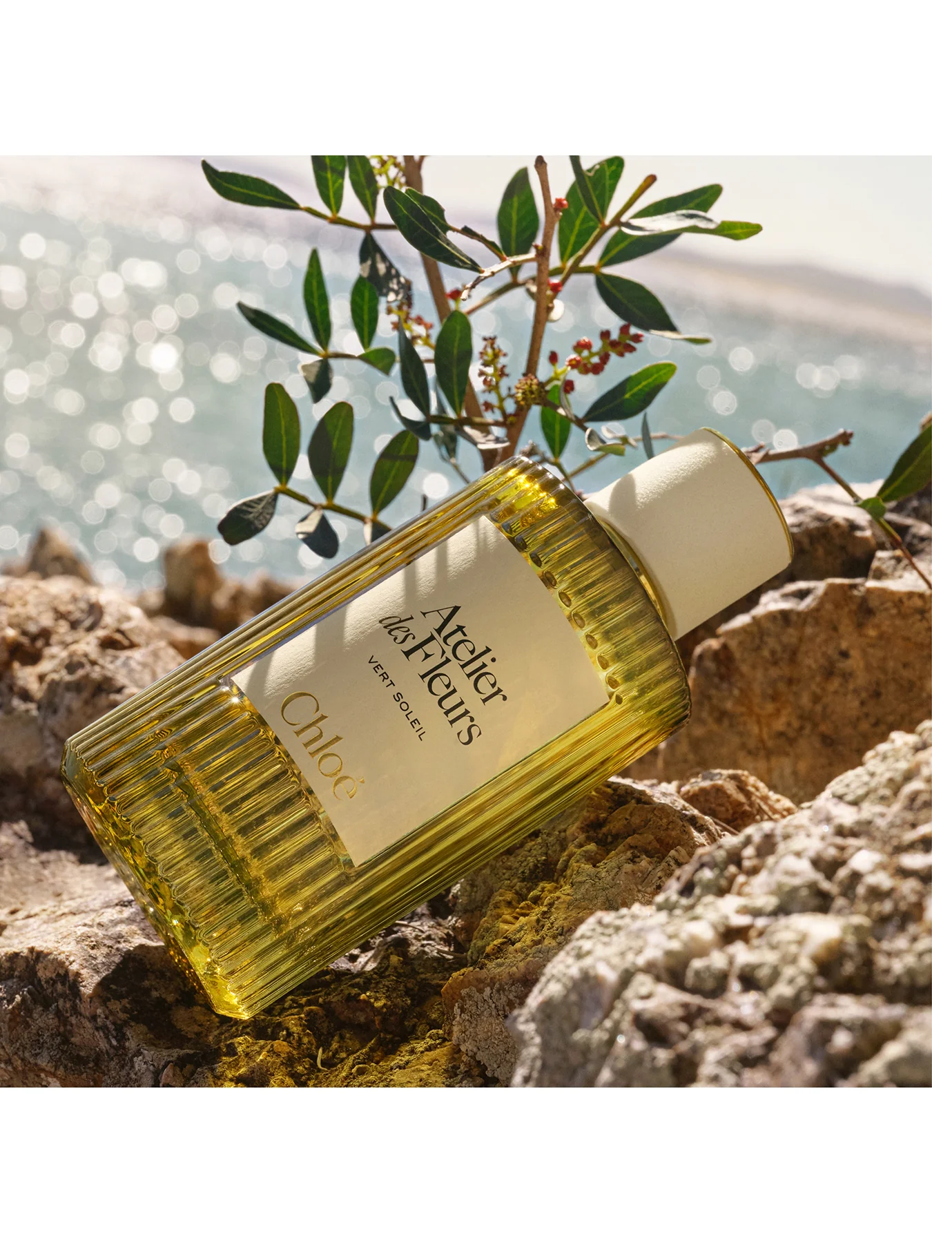 Atelier Des Fleurs Vert Soleil Eau de Parfum 150ml - Image 2