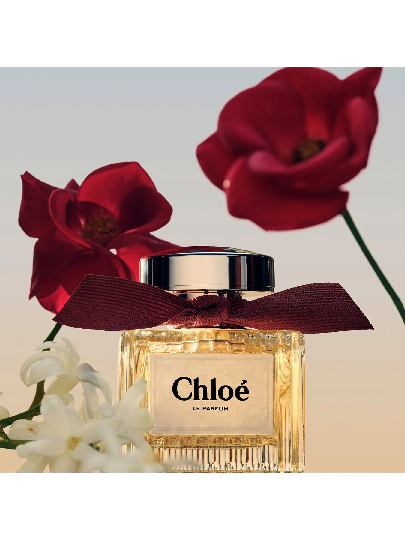 Chloe Le Parfum 50ml Eau de Parfum - Image 4