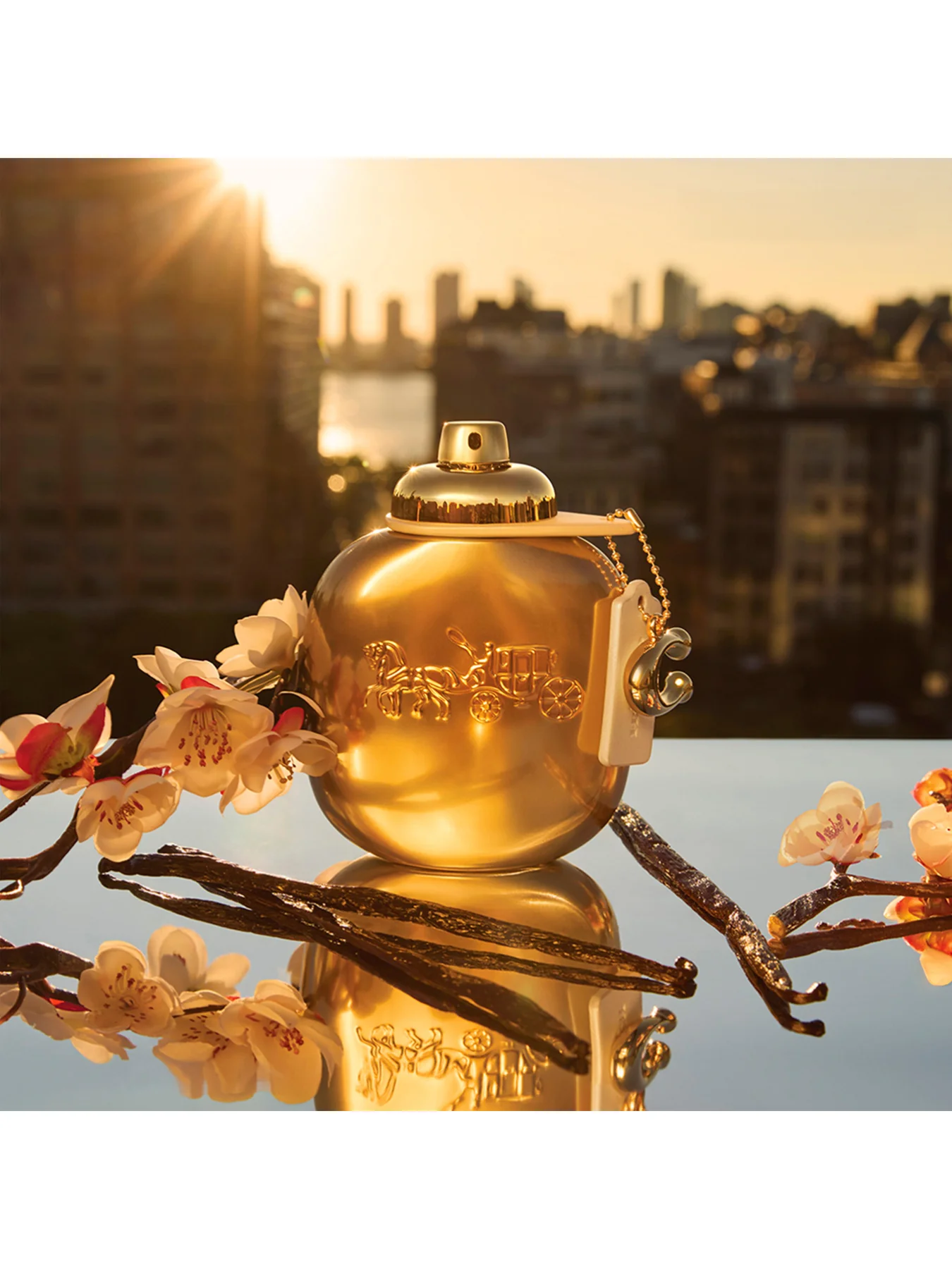Coach Gold Parfum 50ml - Image 2