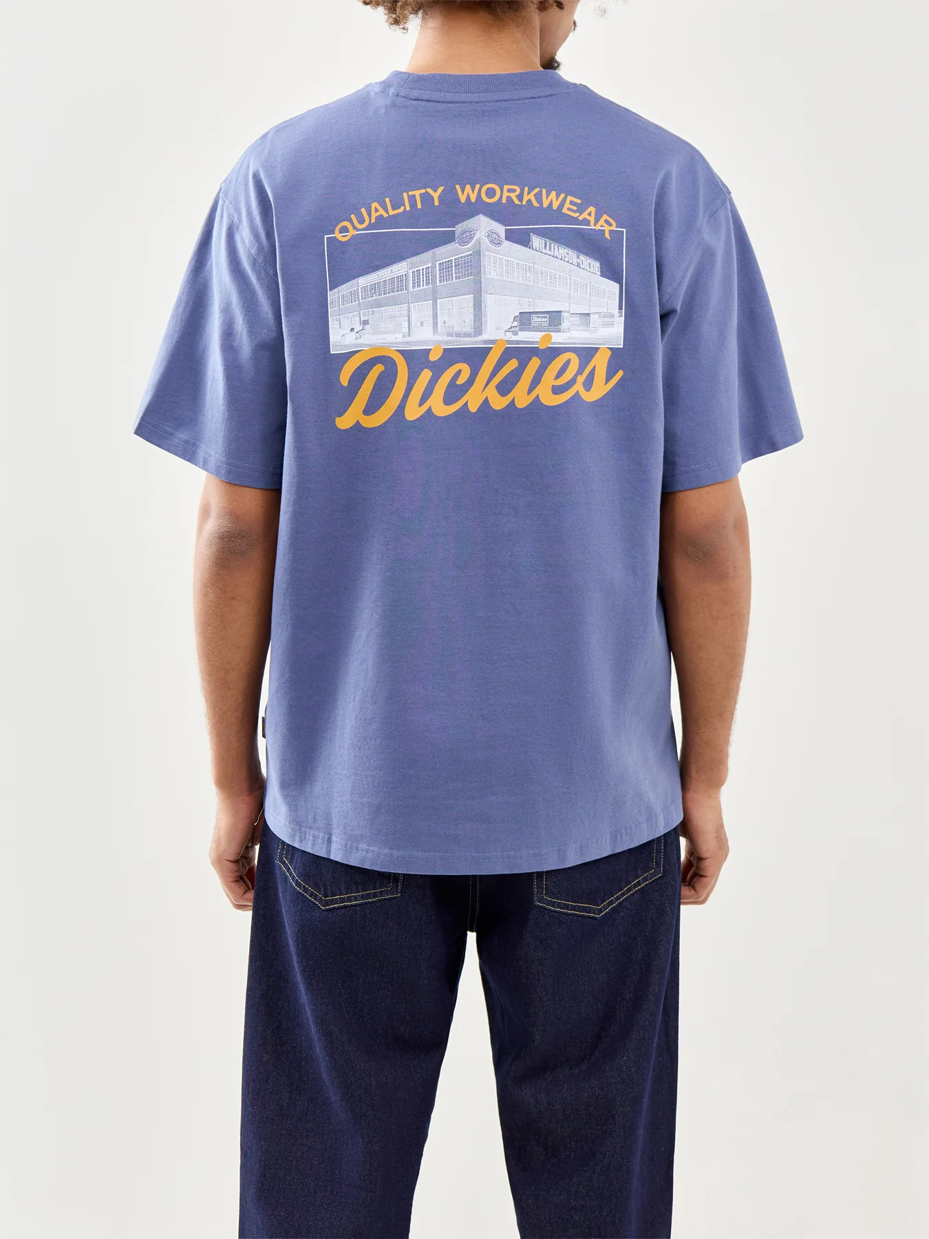Dickies Wellsville Short Sleeve T-Shirt in Blue - Image 5