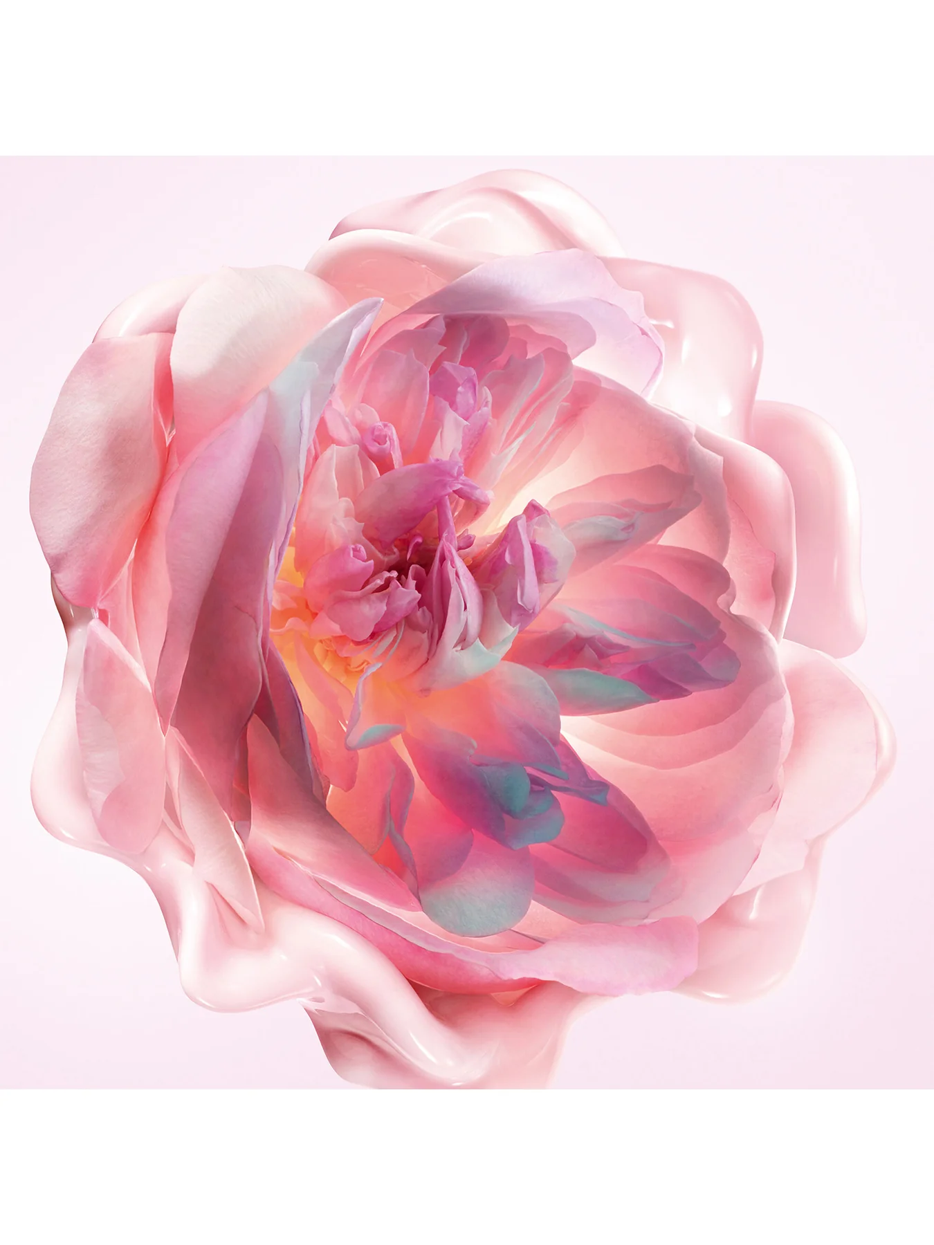 Miss Dior Melt-In Hand Cream 50ml - Image 3
