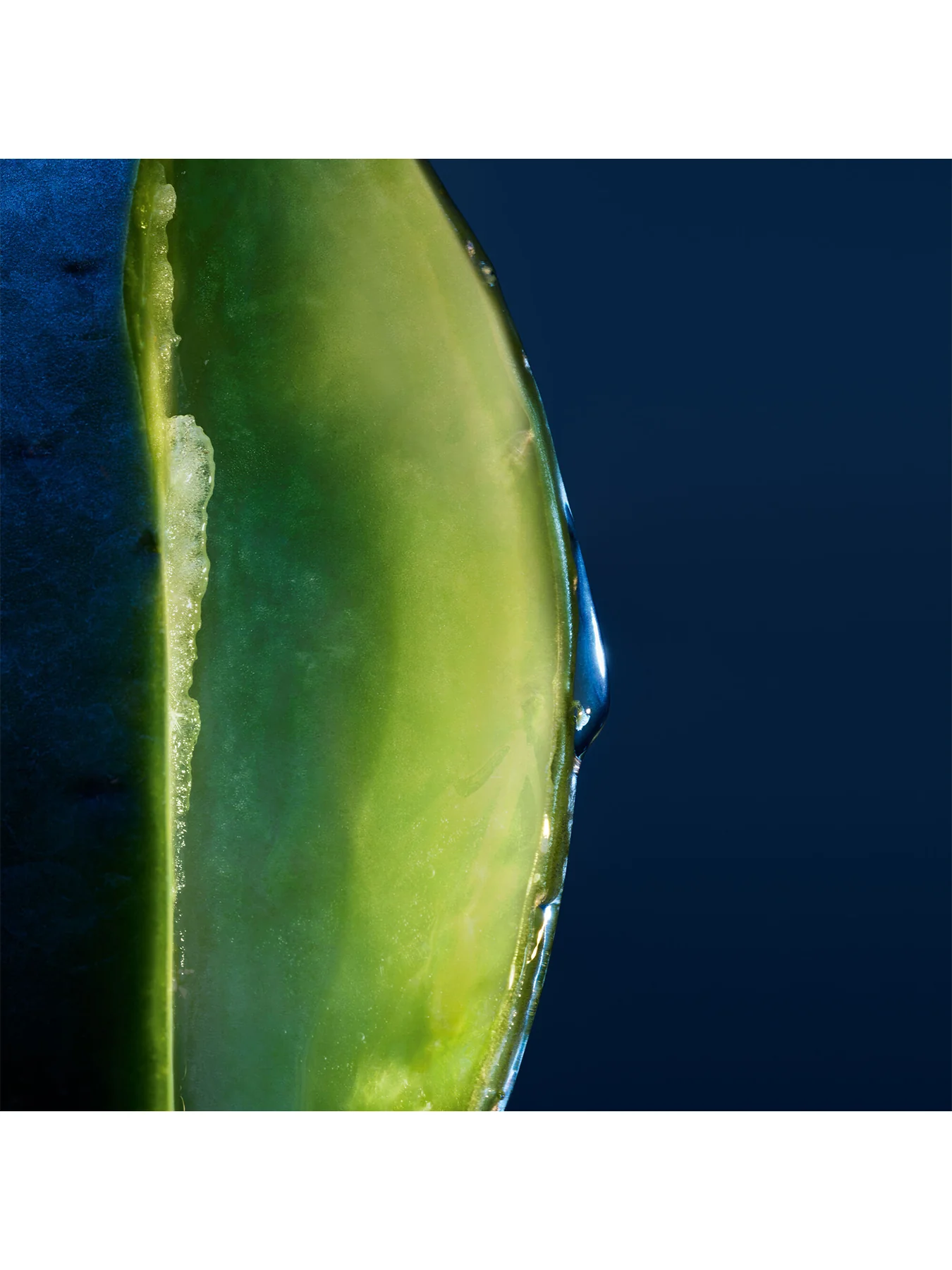 Sauvage Hydrating Shampoo - Image 3