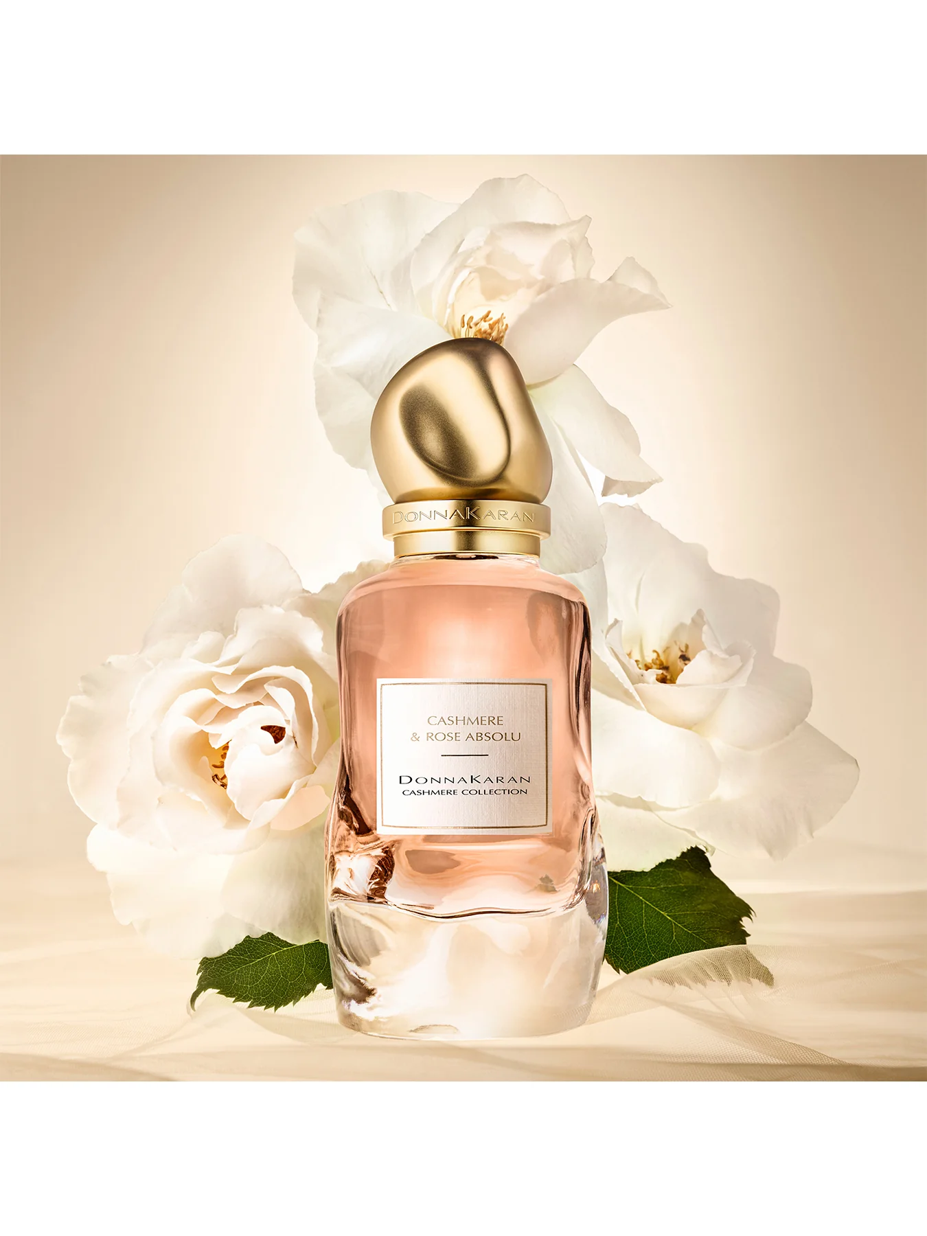 Cashmere and Rose Absolu Eau de Parfum 100ml - Image 3