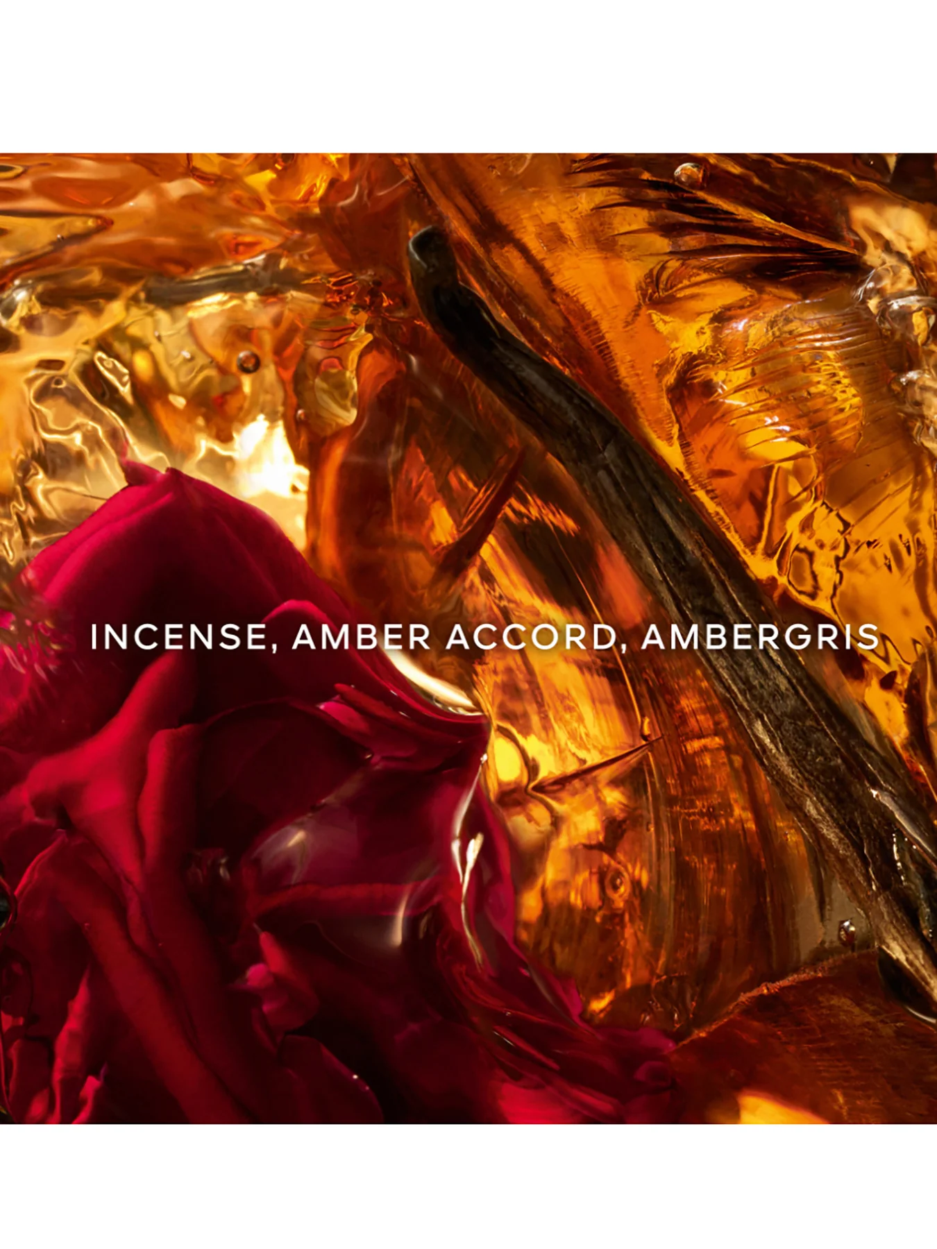 Absolus Allegoria Ambre Samar Eau de Parfum - Image 3