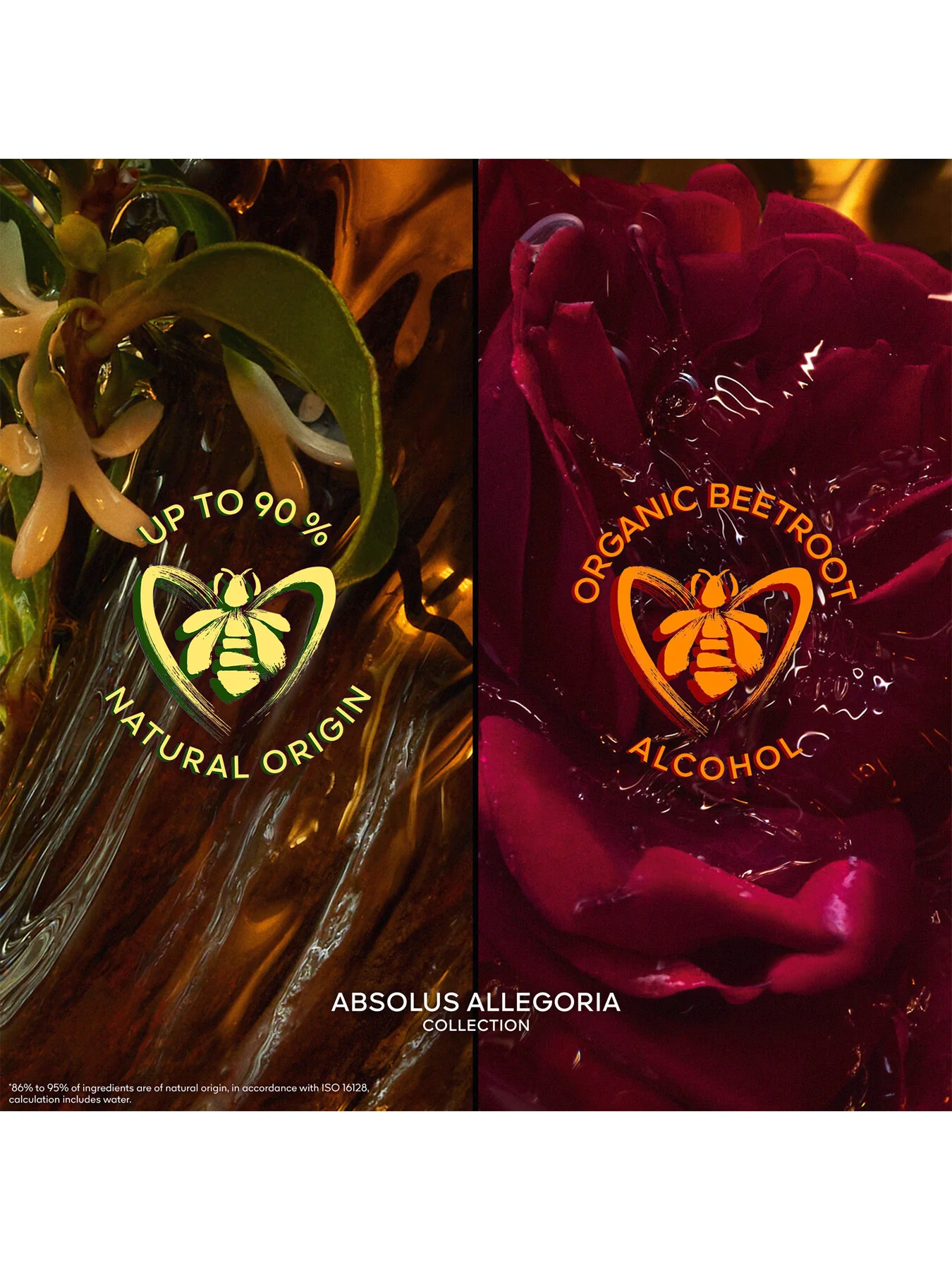 Absolus Allegoria Cuir Intense Eau de Parfum - Image 11