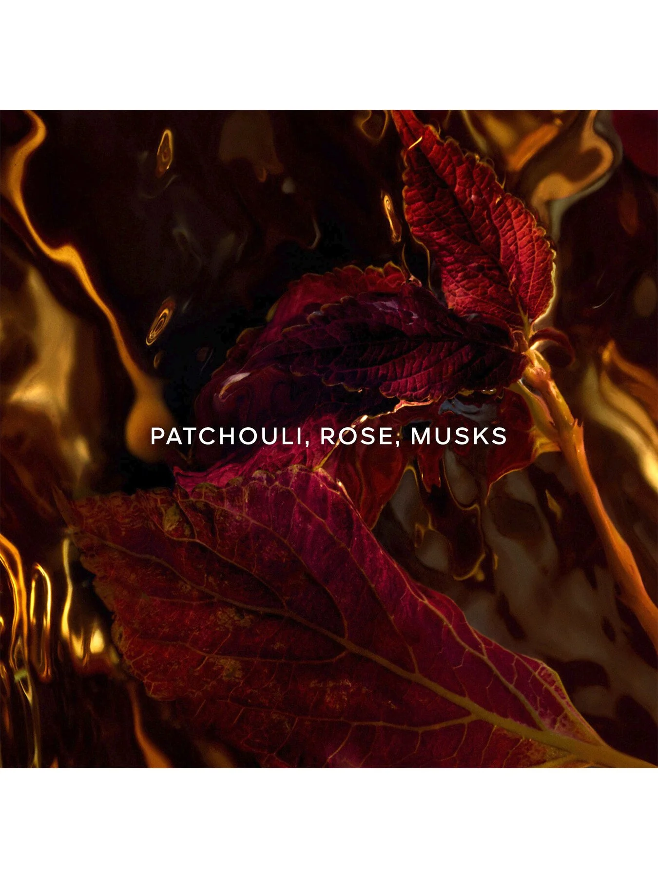 Absolus Allegoria Patchouli Ardent Eau de Parfum - Image 8