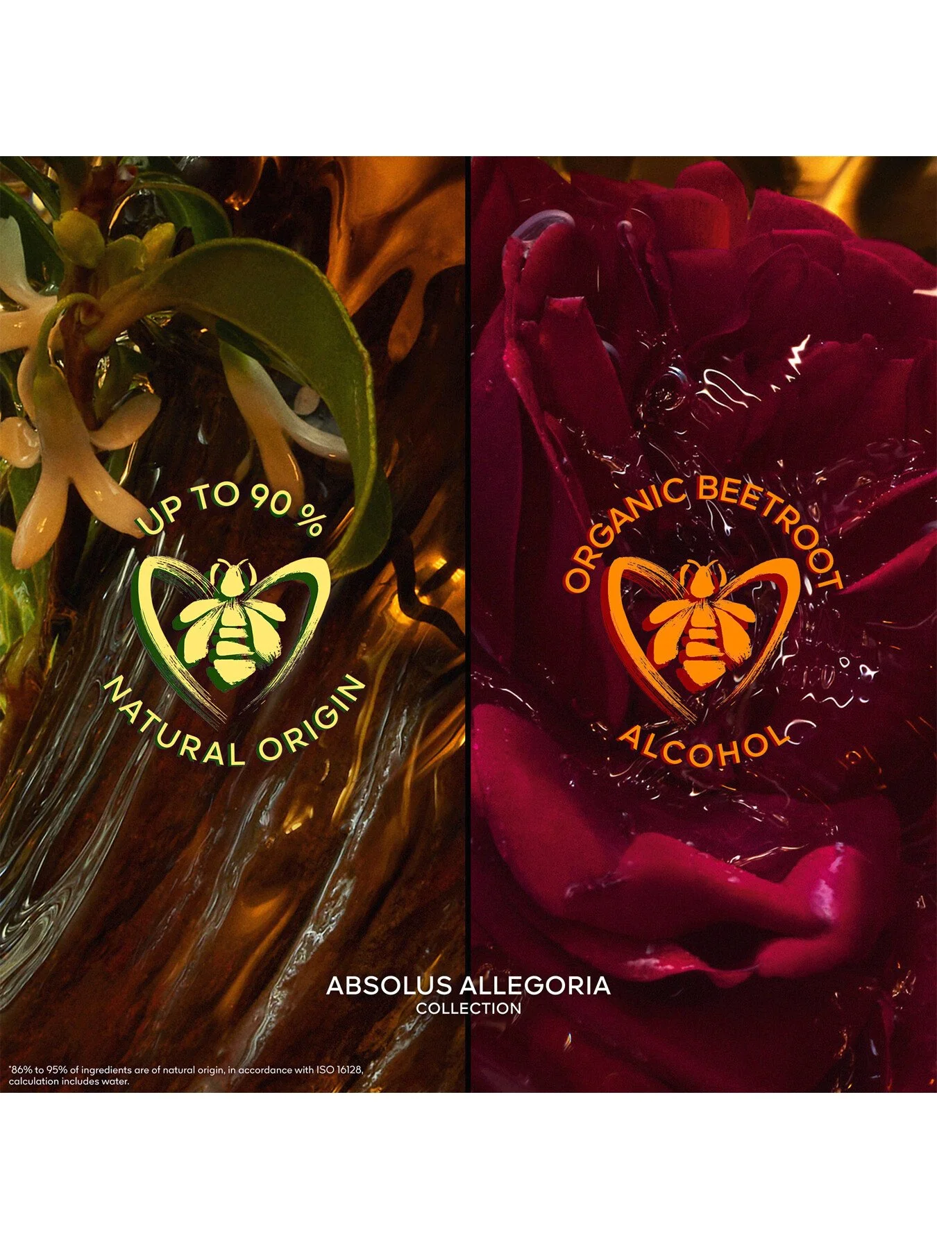 Absolus Allegoria Rose Amira Eau de Parfum - Image 10