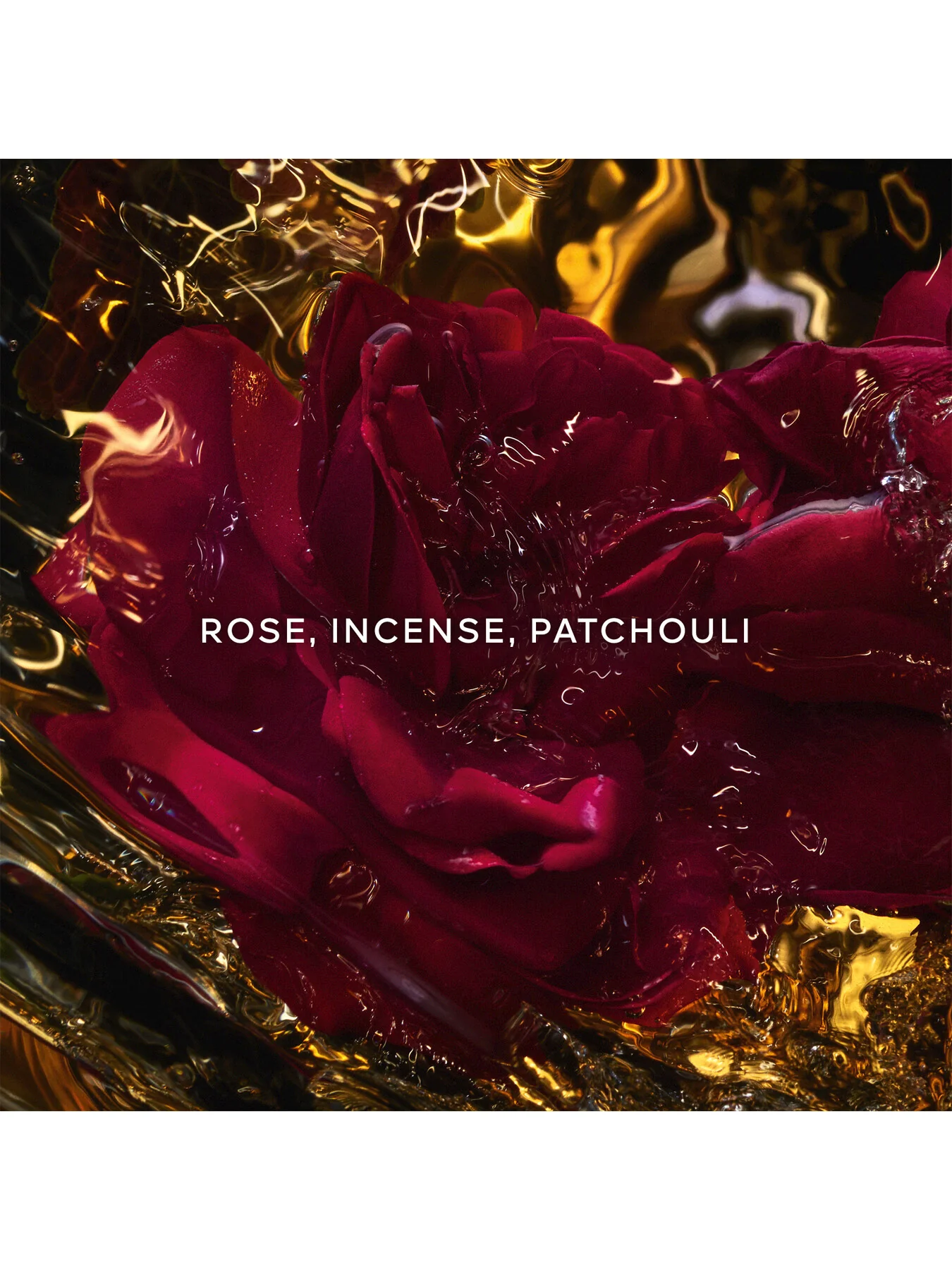 Absolus Allegoria Rose Amira Eau de Parfum - Image 9