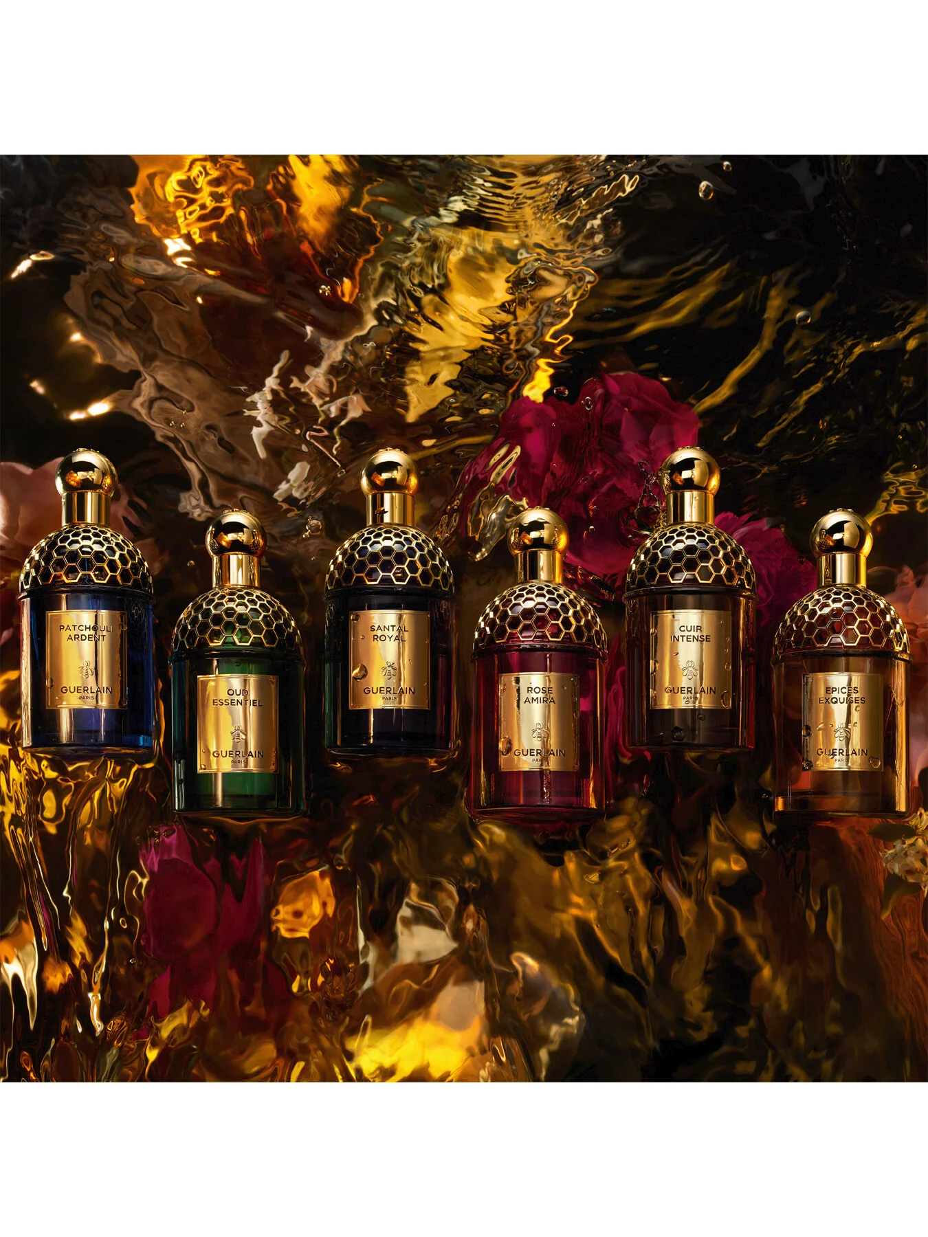 Absolus Allegoria Santal Royal Eau de Parfum - Image 13