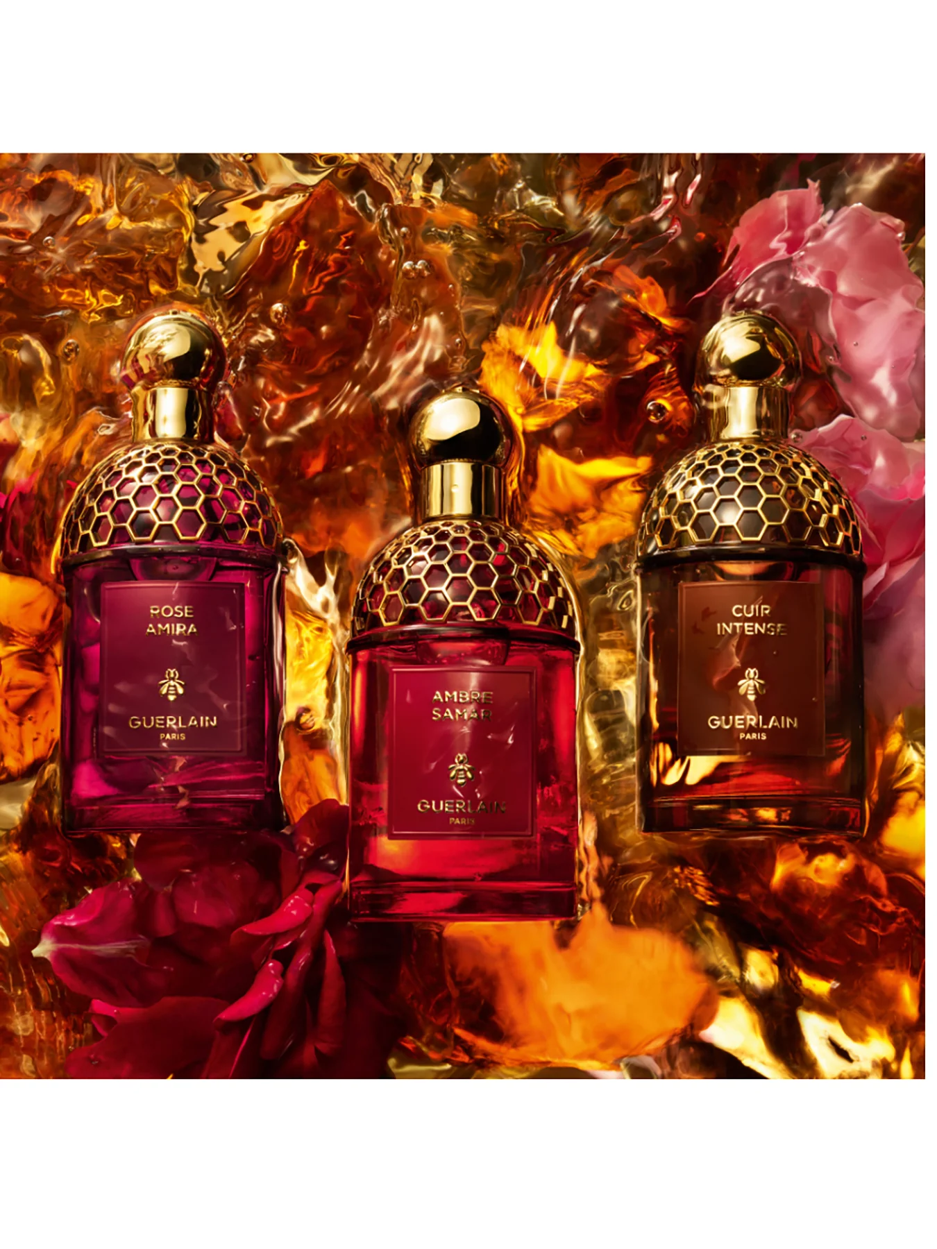 Absolus Allegoria Santal Royal Eau de Parfum - Image 5