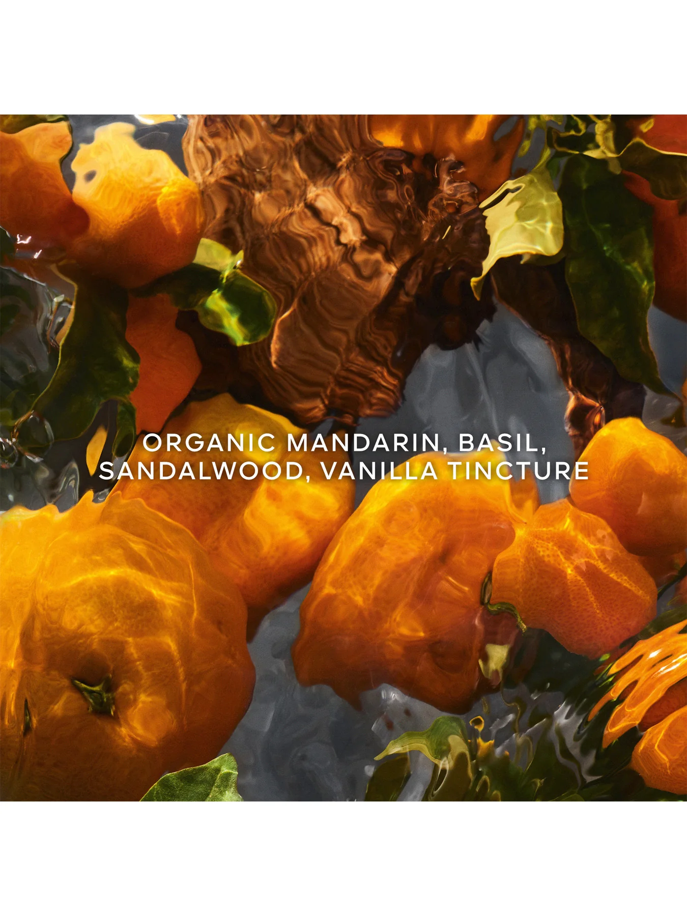 Aqua Allegoria Forte Mandarine Basilic Eau de Parfum Refill - Image 3