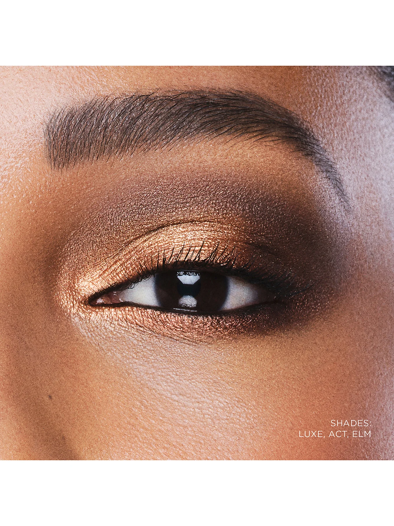 Curator Eyeshadow - Image 44