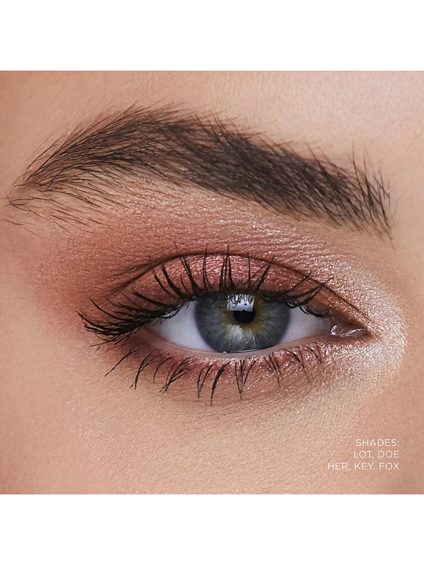 Curator Eyeshadow - Image 60