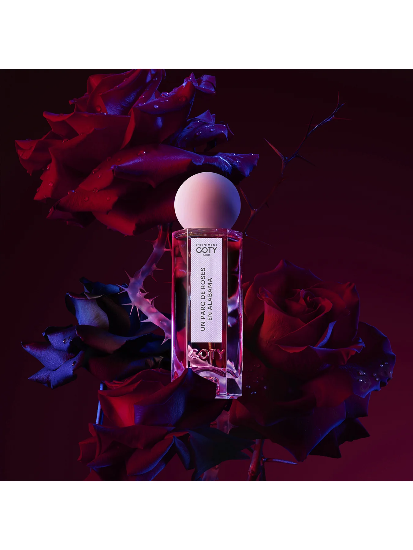 Un Parc De Roses En Alabama Parfum 75ml - Image 3