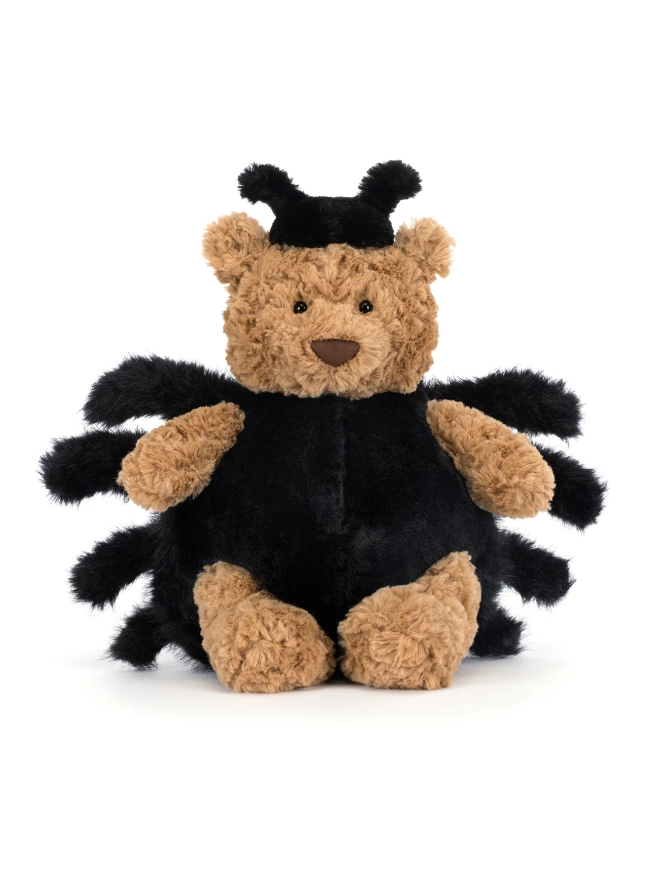 Bartholomew Bear Spider - Image 2