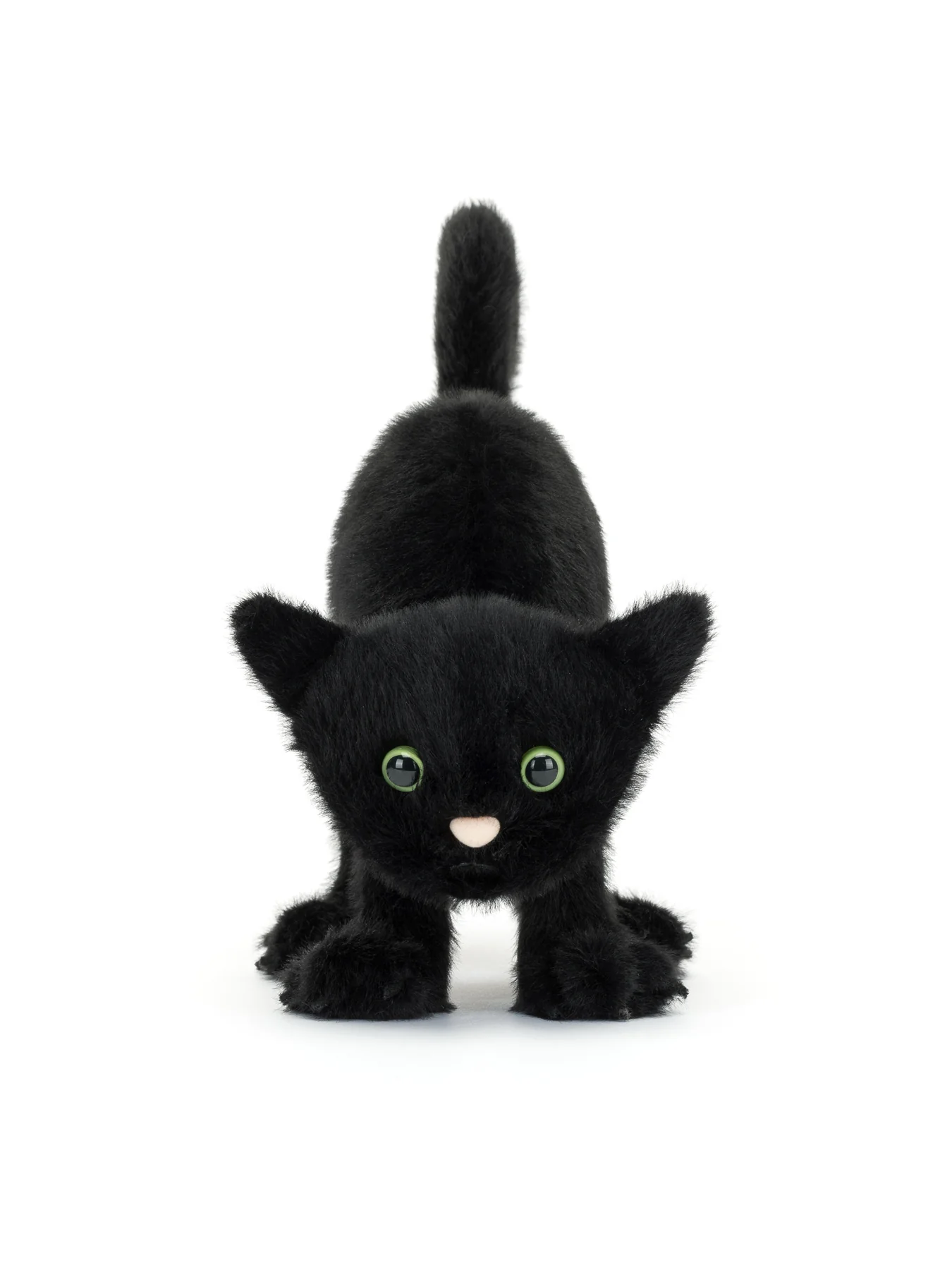 Spookipaws Cat - Image 3