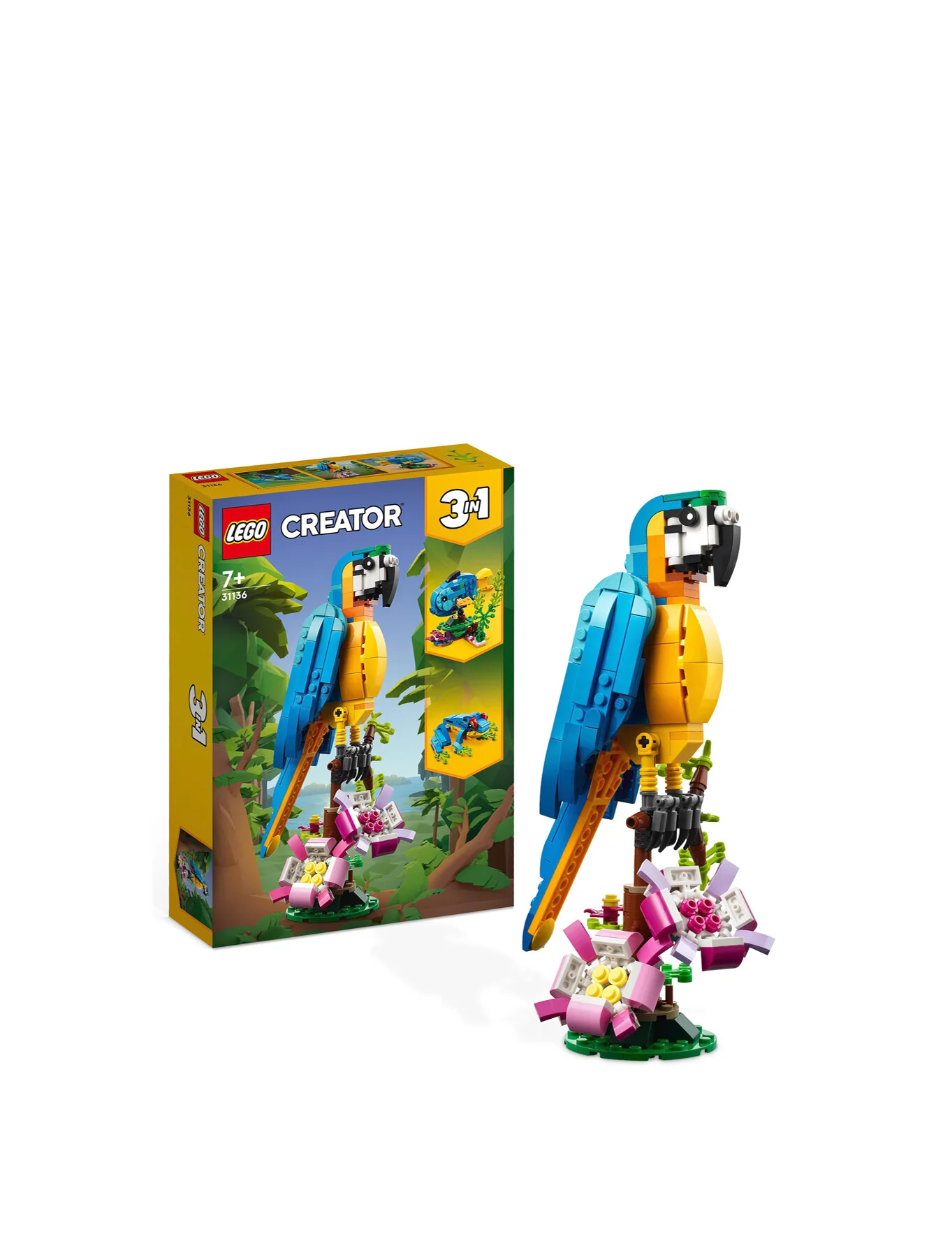 Exotic Parrot 31136 - Image 2