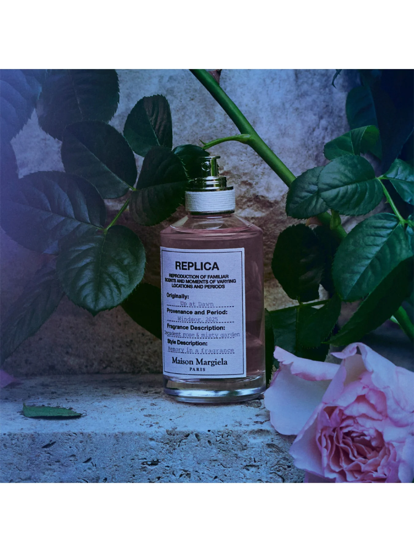 Replica Up At Dawn Eau de Toilette 30ml - Image 4