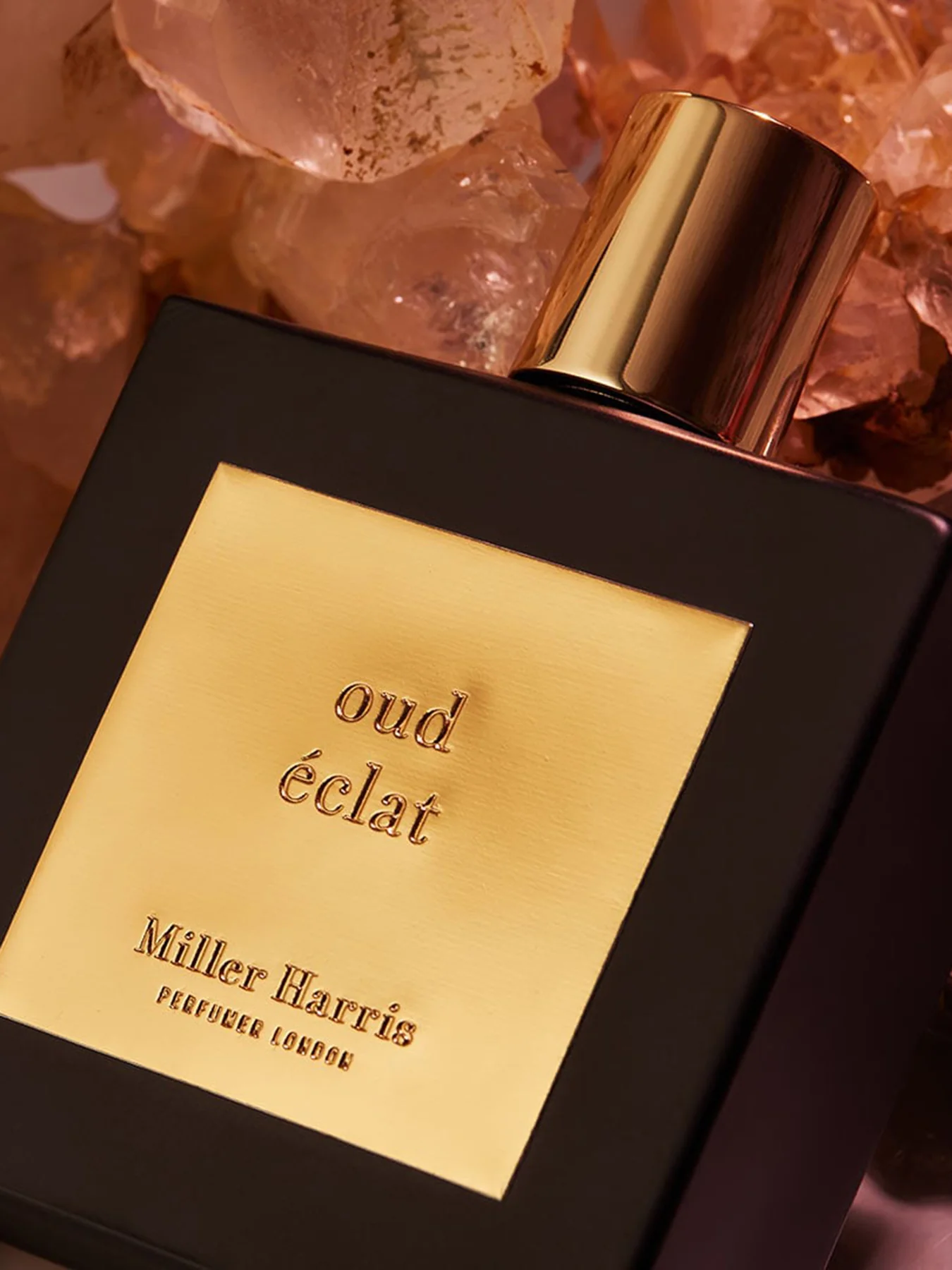 Oud Éclat Eau de Parfum 100ml - Image 4