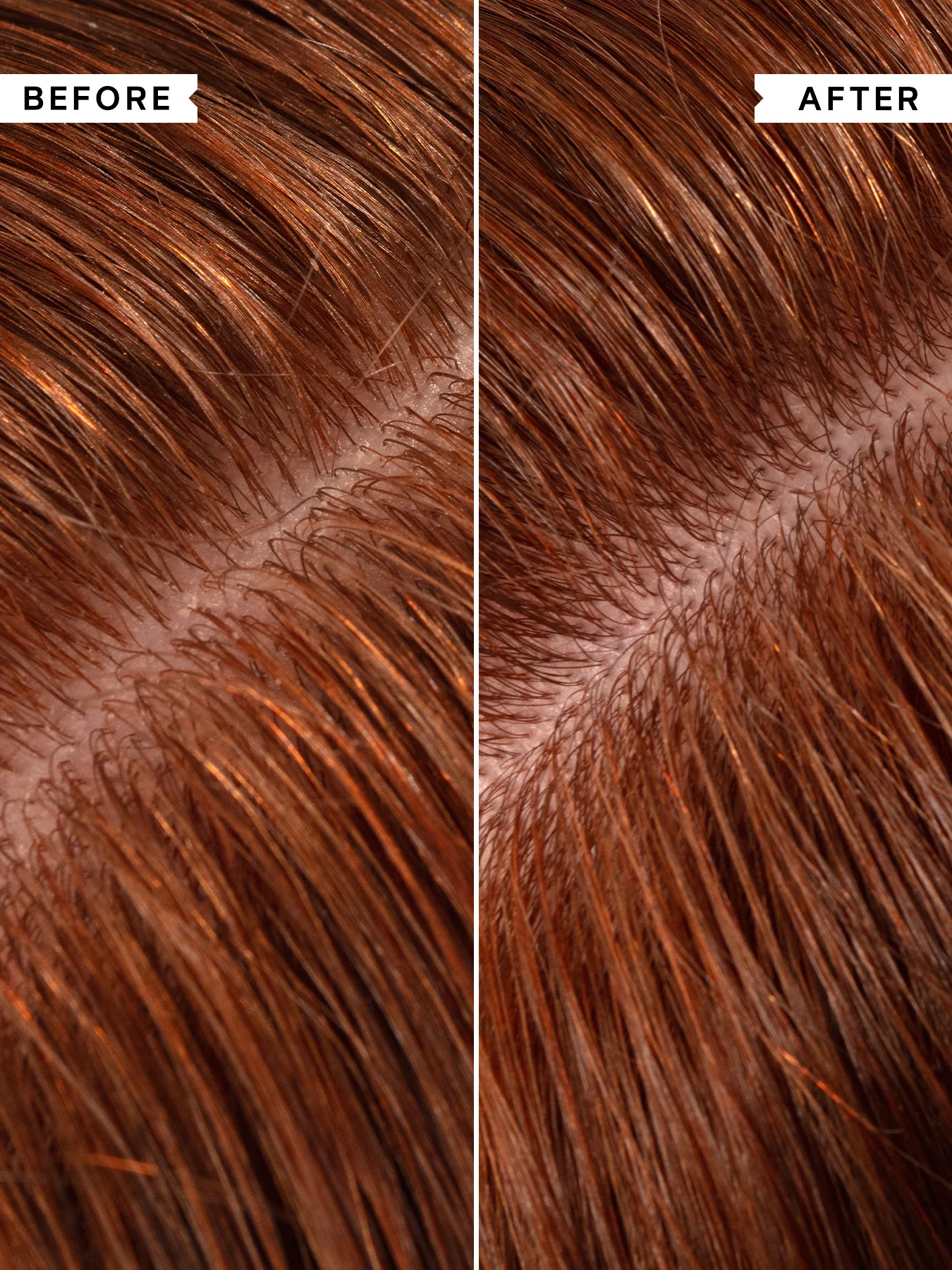 No Scent No Colour Conditioner 1000ml - Image 2