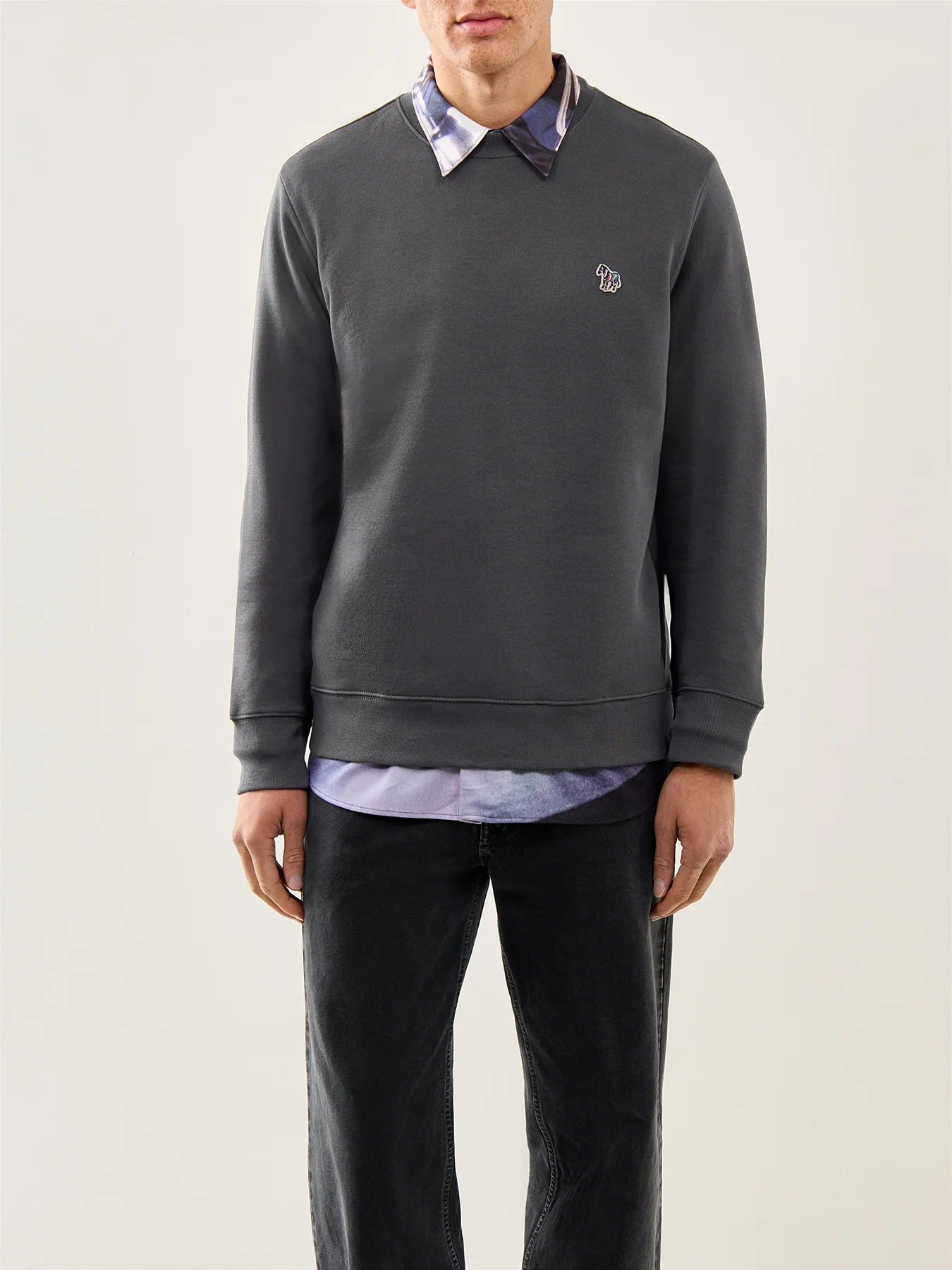 Zebra Logo Sweatshirt Grey - Image 4