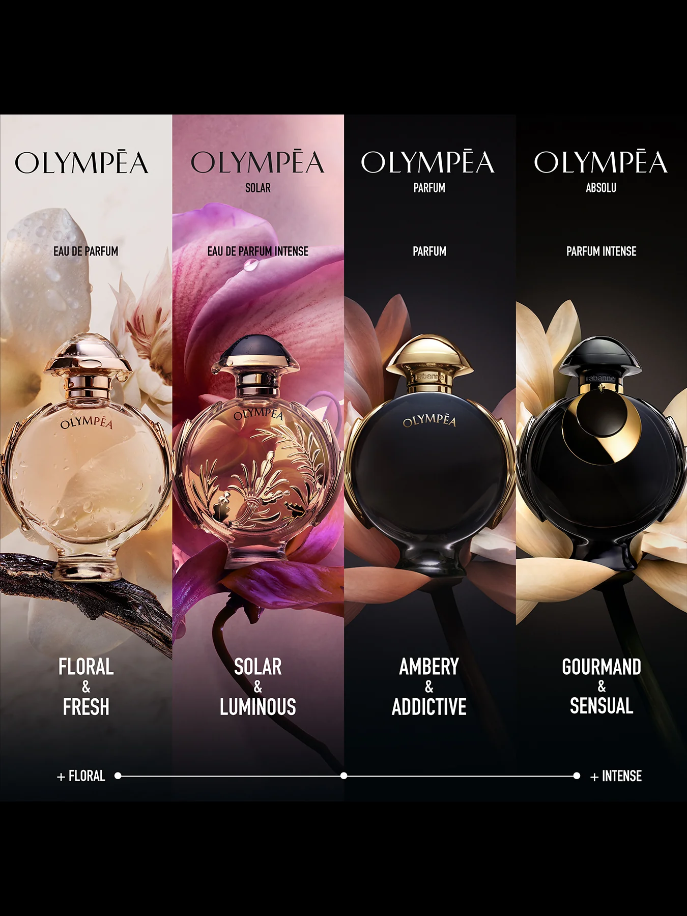 Olympea Absolu Parfum Intense 80ml - Image 4