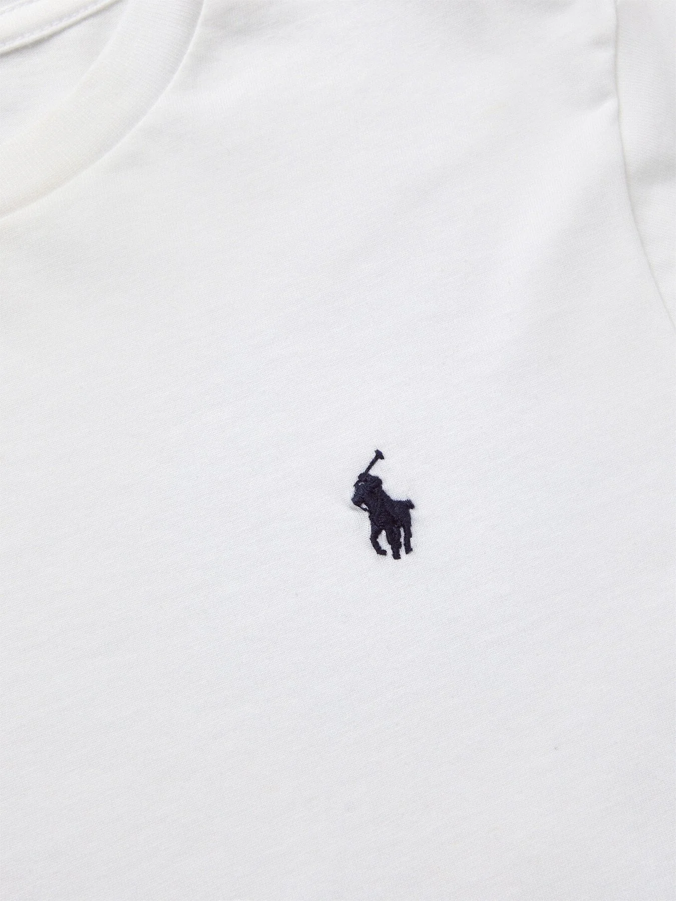 Cotton Jersey Crewneck T-Shirt - Image 4