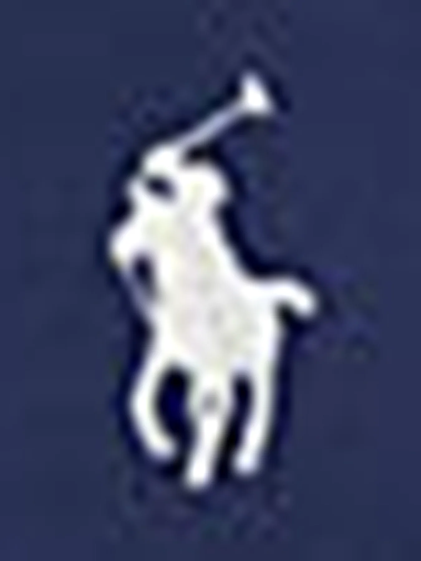 Cargo Shorts Navy - Image 3