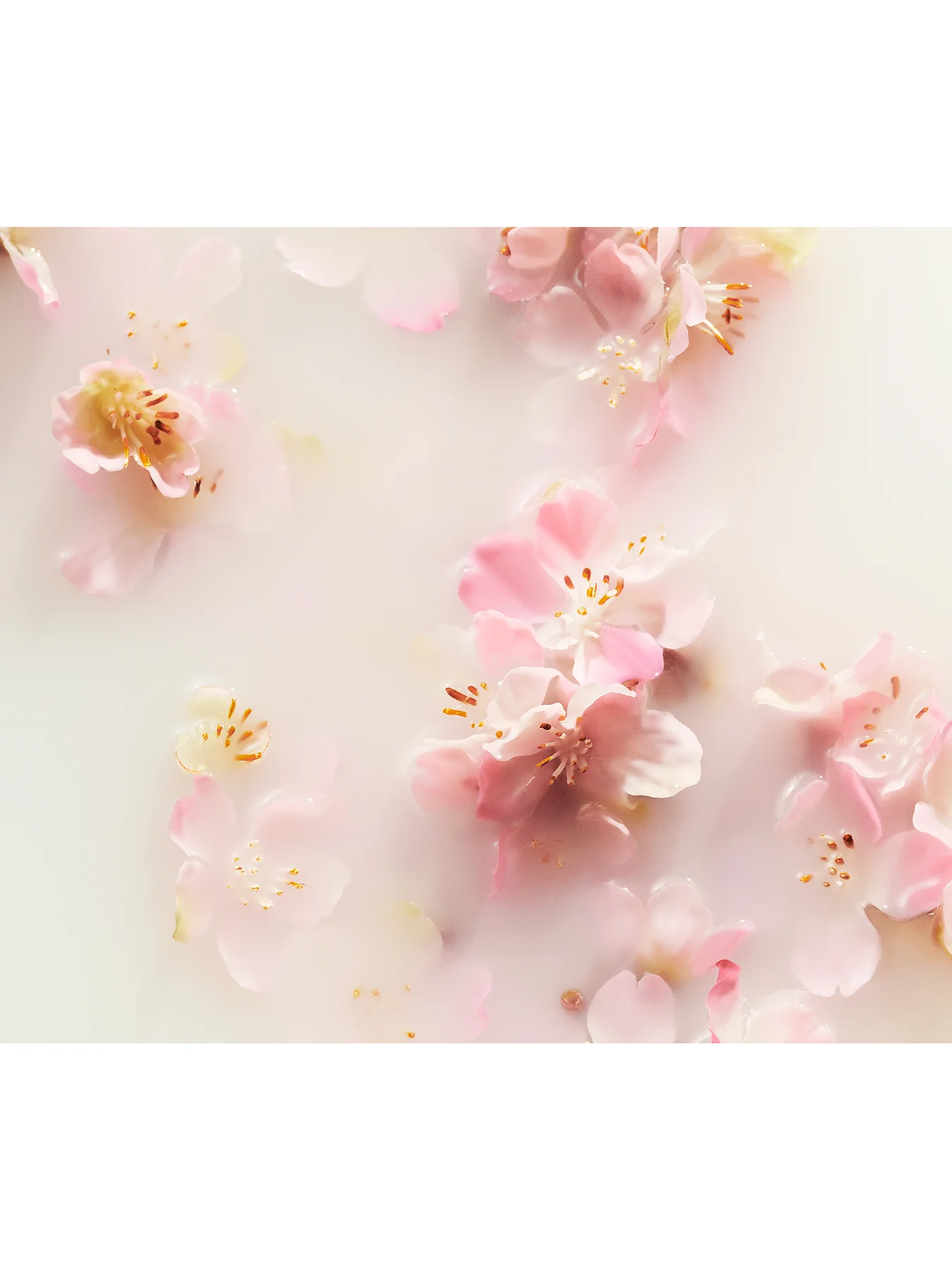 The Ritual of Sakura Refill Fragrance Sticks 500ml - Image 3