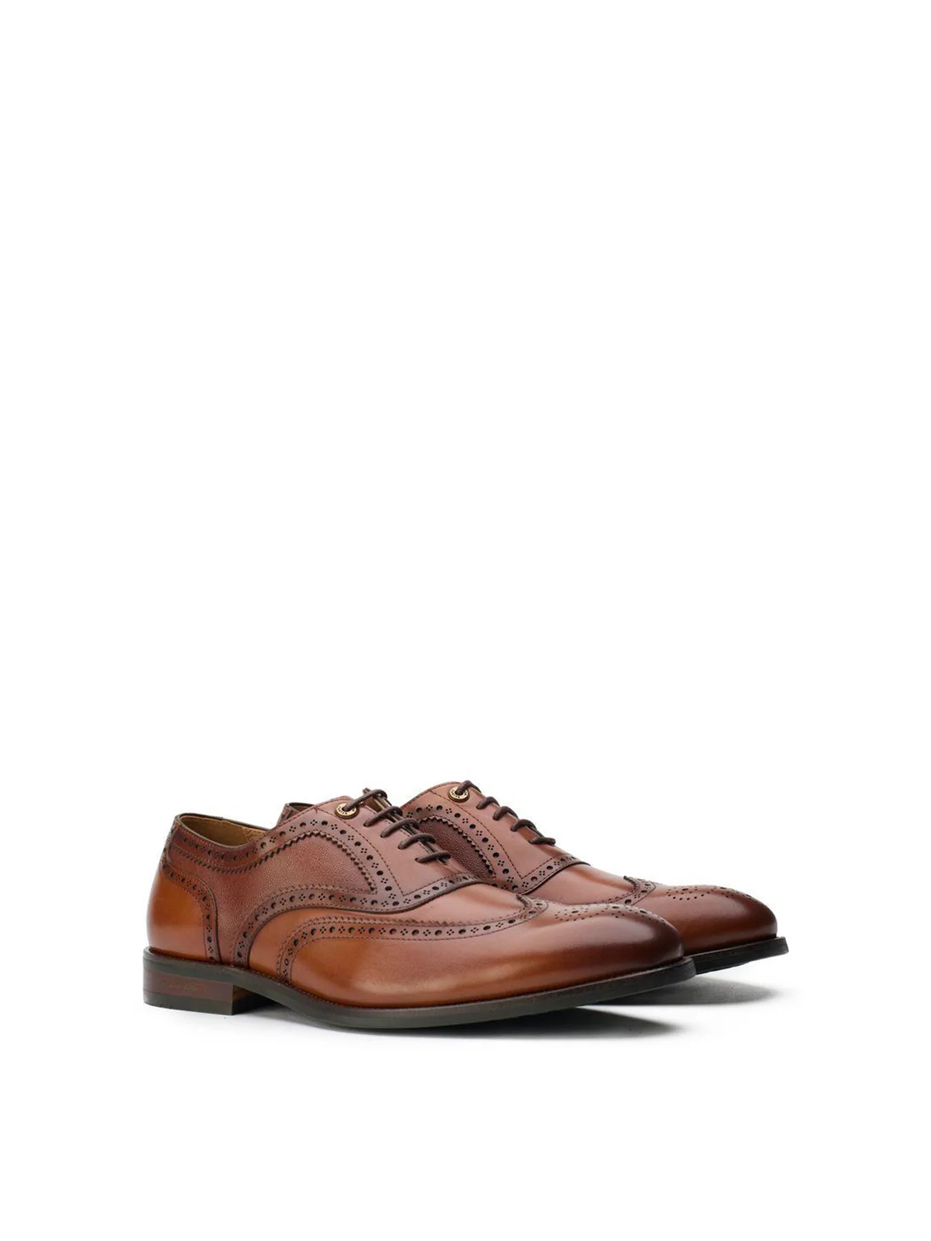 Diplodocus Leather Brogue Shoes Tan - Image 3