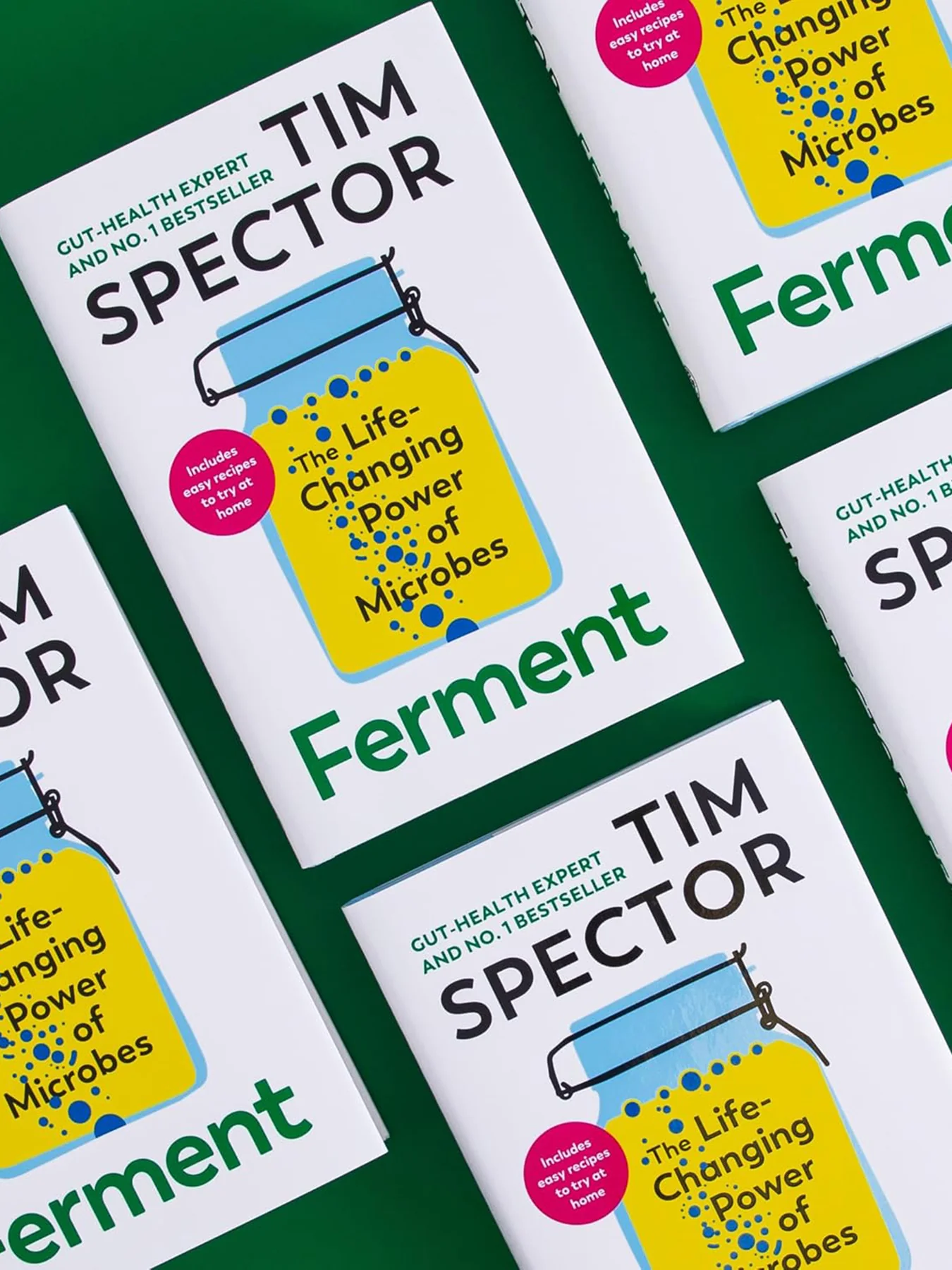 Ferment Recipe & Technique Guide - Image 2
