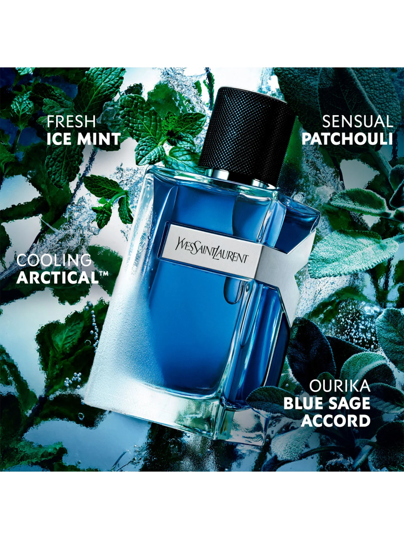 Y Iced Cologne Eau de Toilette 60ml - Image 4